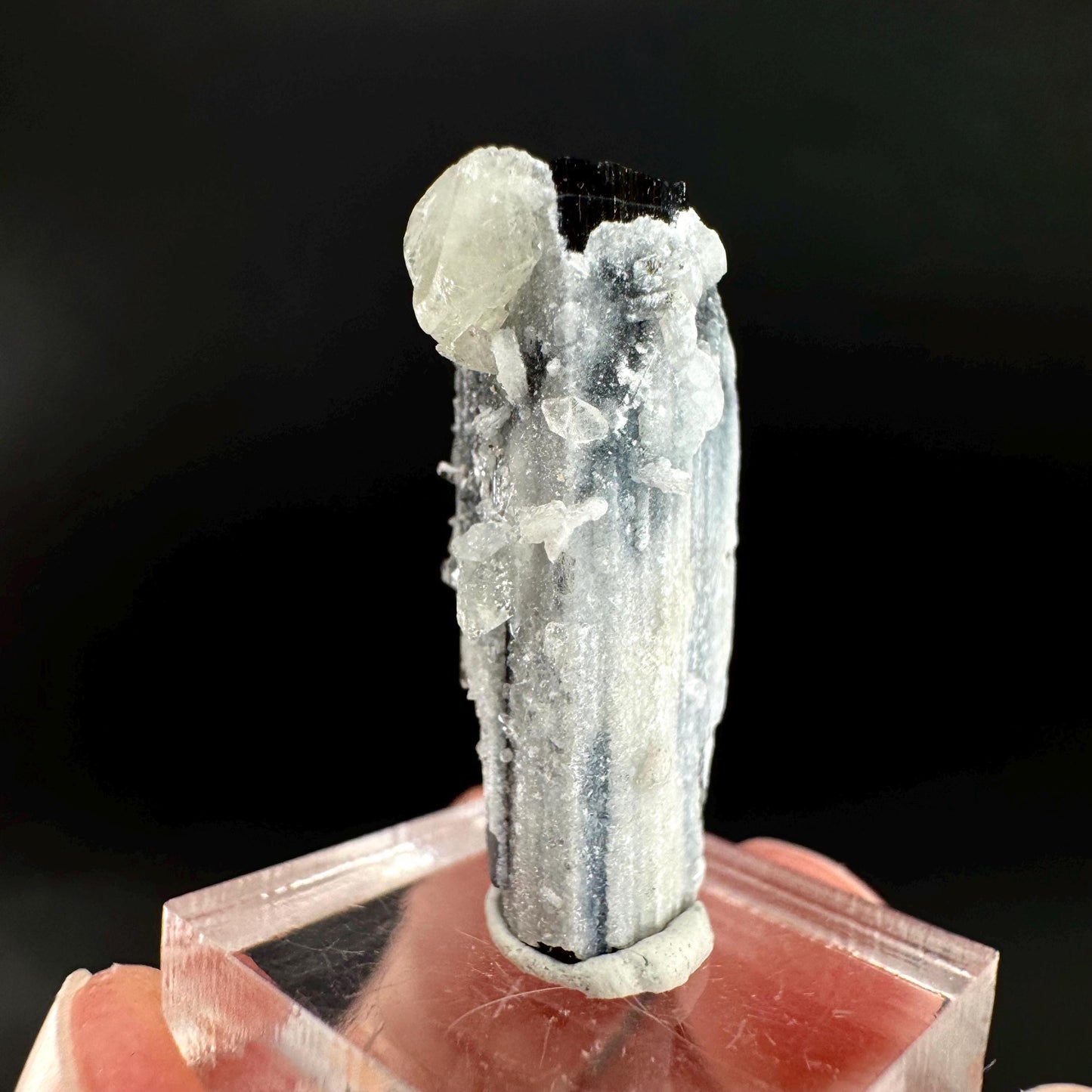Herderite on Black Tourmaline | light green crystal, rare mineral specimen from Pakistan