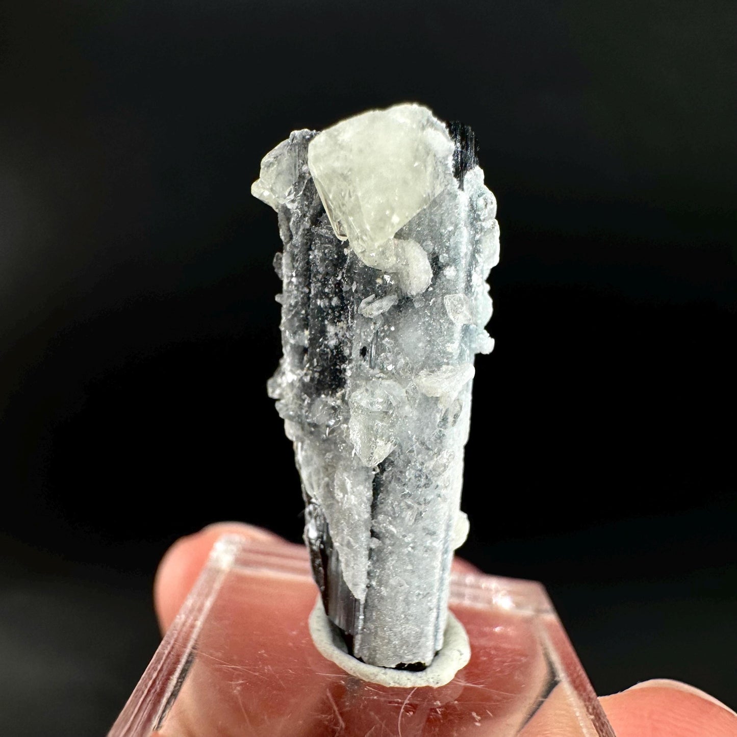 Herderite on Black Tourmaline | light green crystal, rare mineral specimen from Pakistan