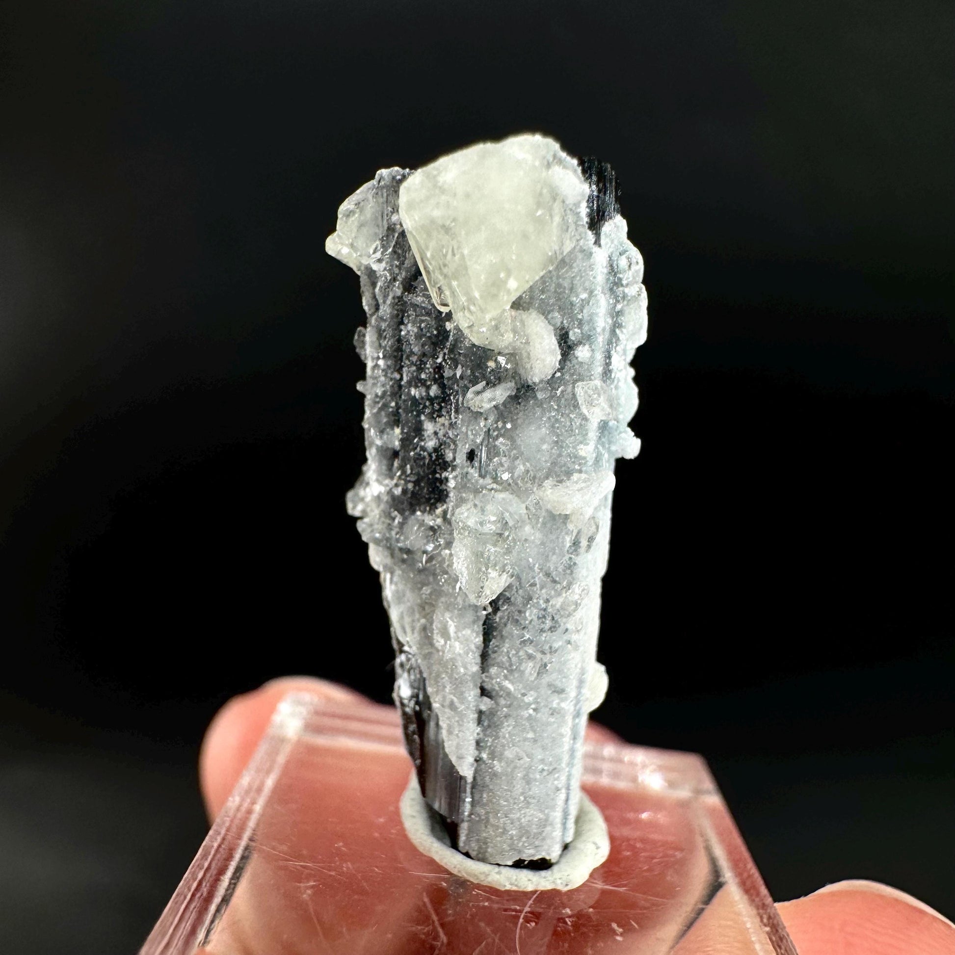 Herderite on Black Tourmaline | light green crystal, rare mineral specimen from Pakistan