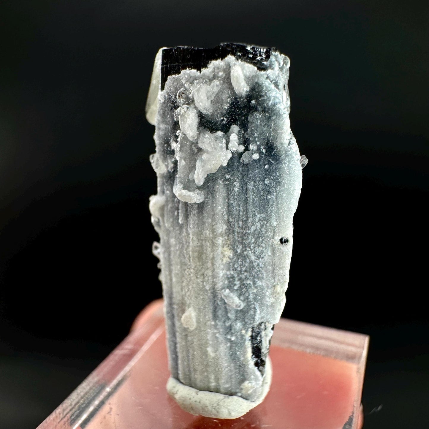 Herderite on Black Tourmaline | light green crystal, rare mineral specimen from Pakistan