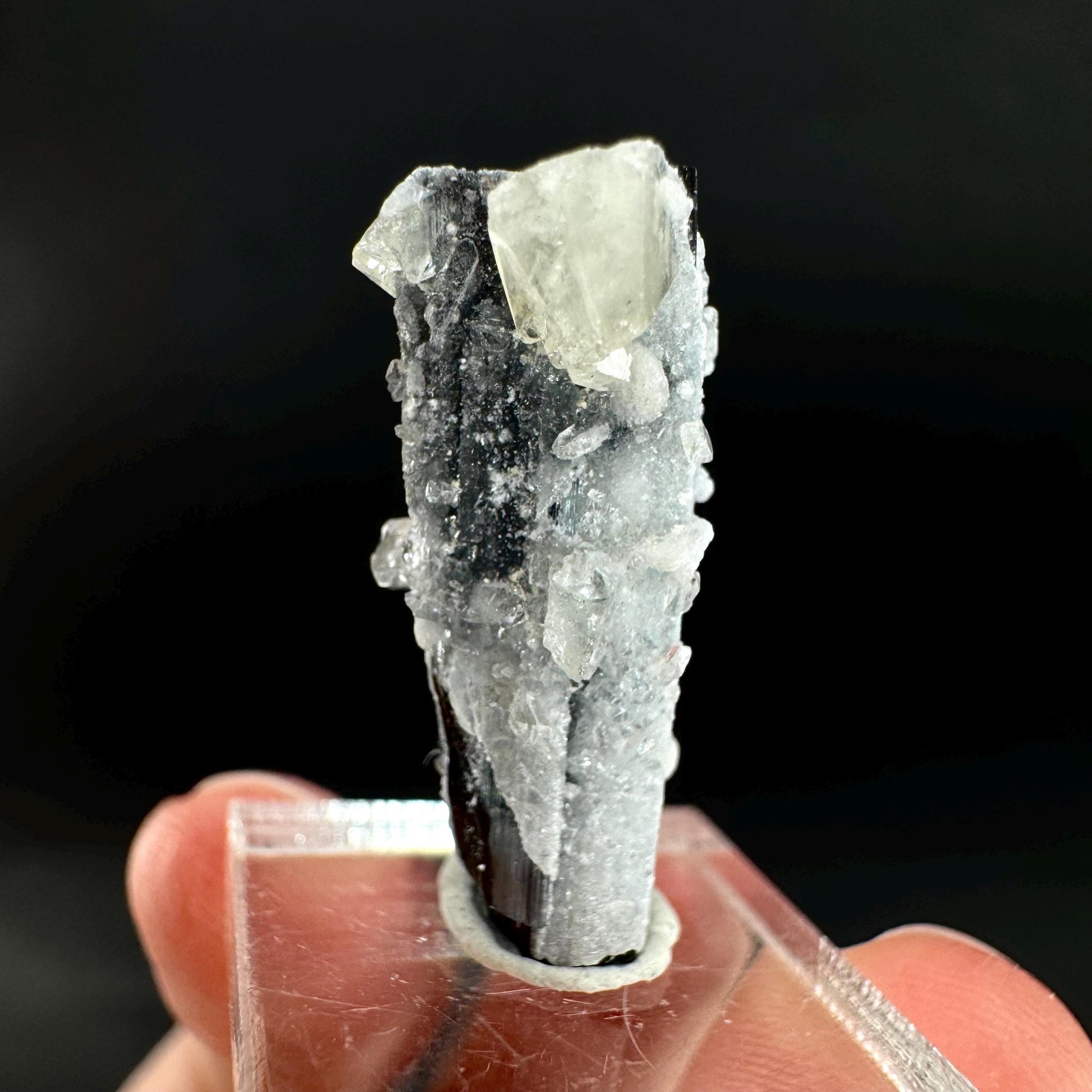 Herderite on Black Tourmaline | light green crystal, rare mineral specimen from Pakistan