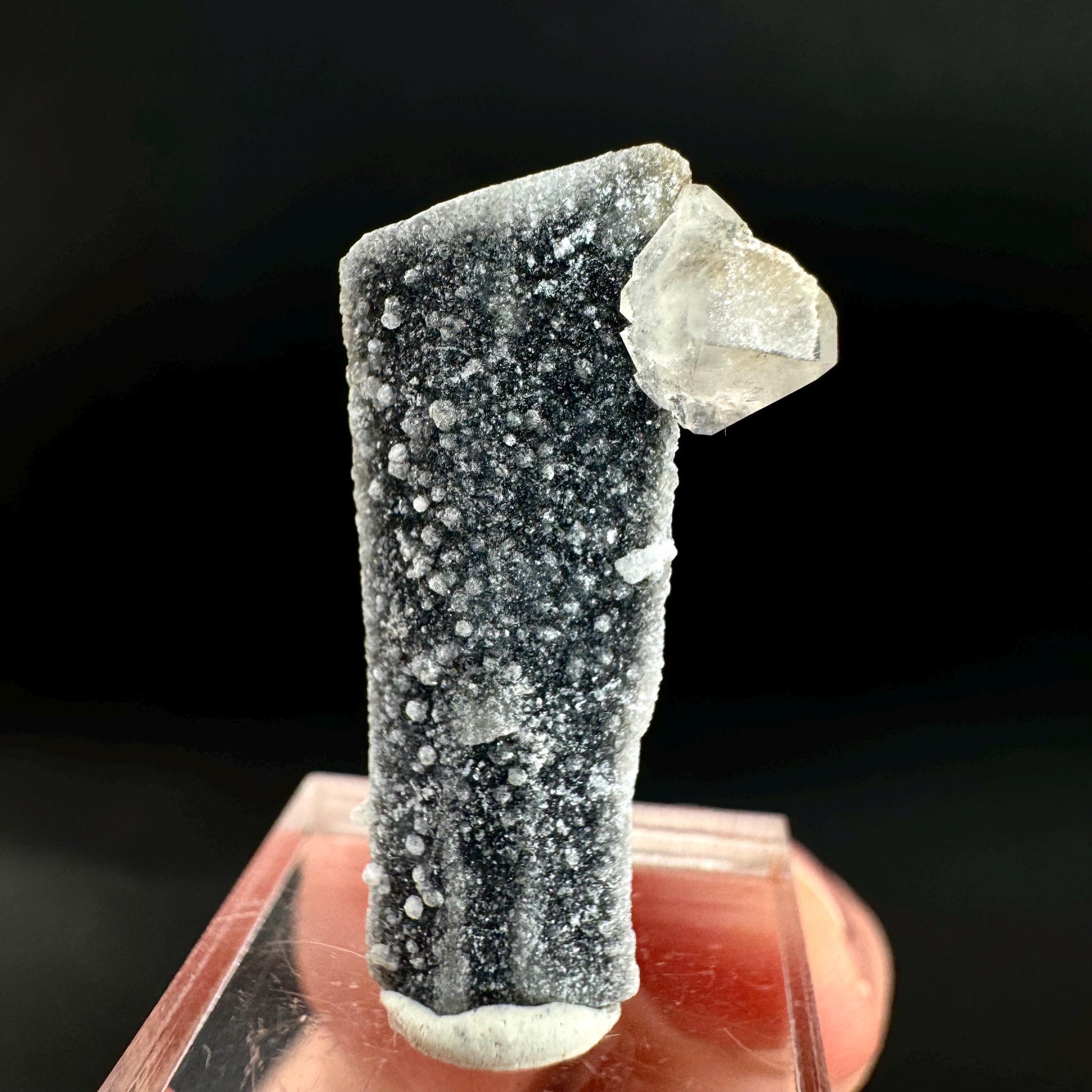Herderite on Black Tourmaline | light green crystal, rare mineral specimen from Pakistan