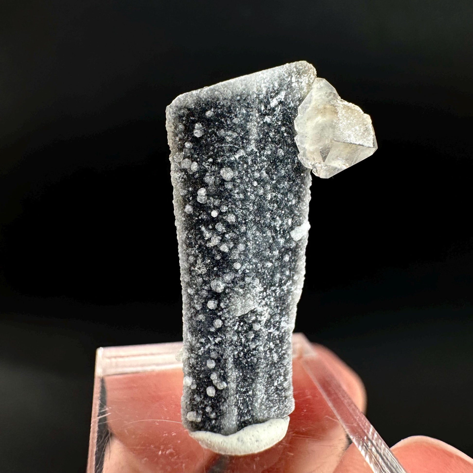 Herderite on Black Tourmaline | light green crystal, rare mineral specimen from Pakistan