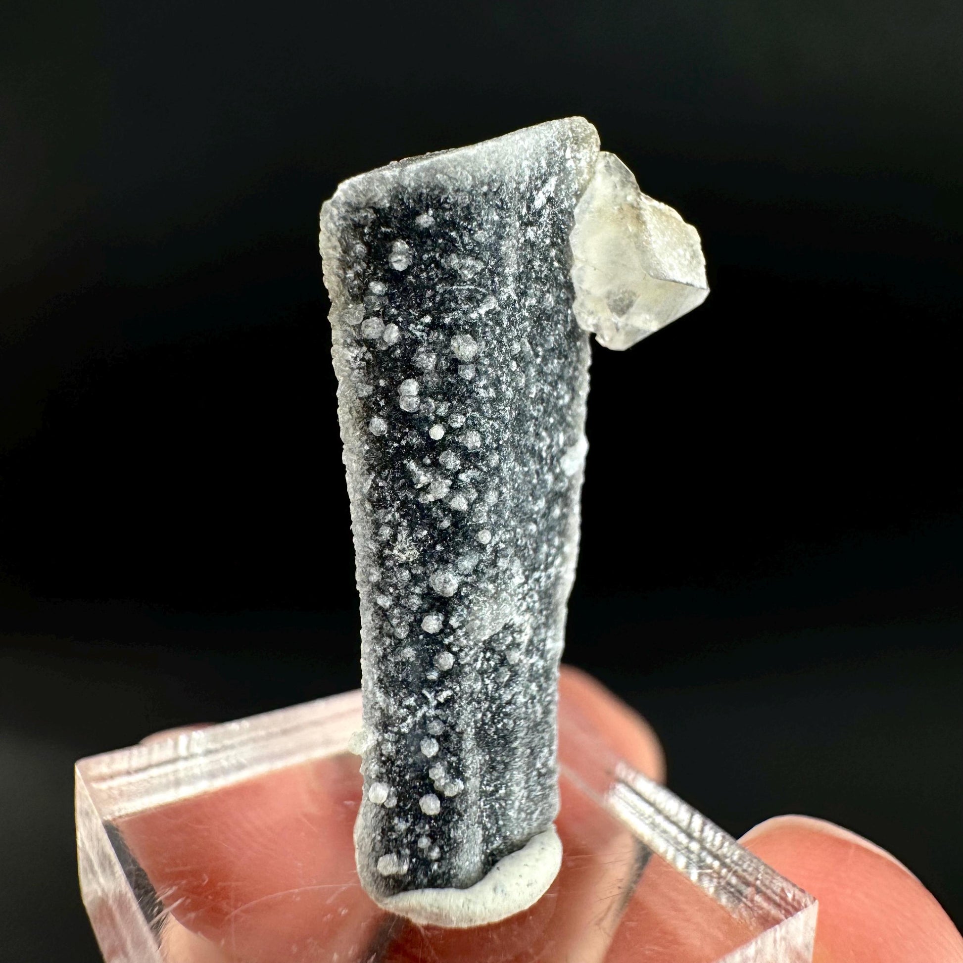 Herderite on Black Tourmaline | light green crystal, rare mineral specimen from Pakistan