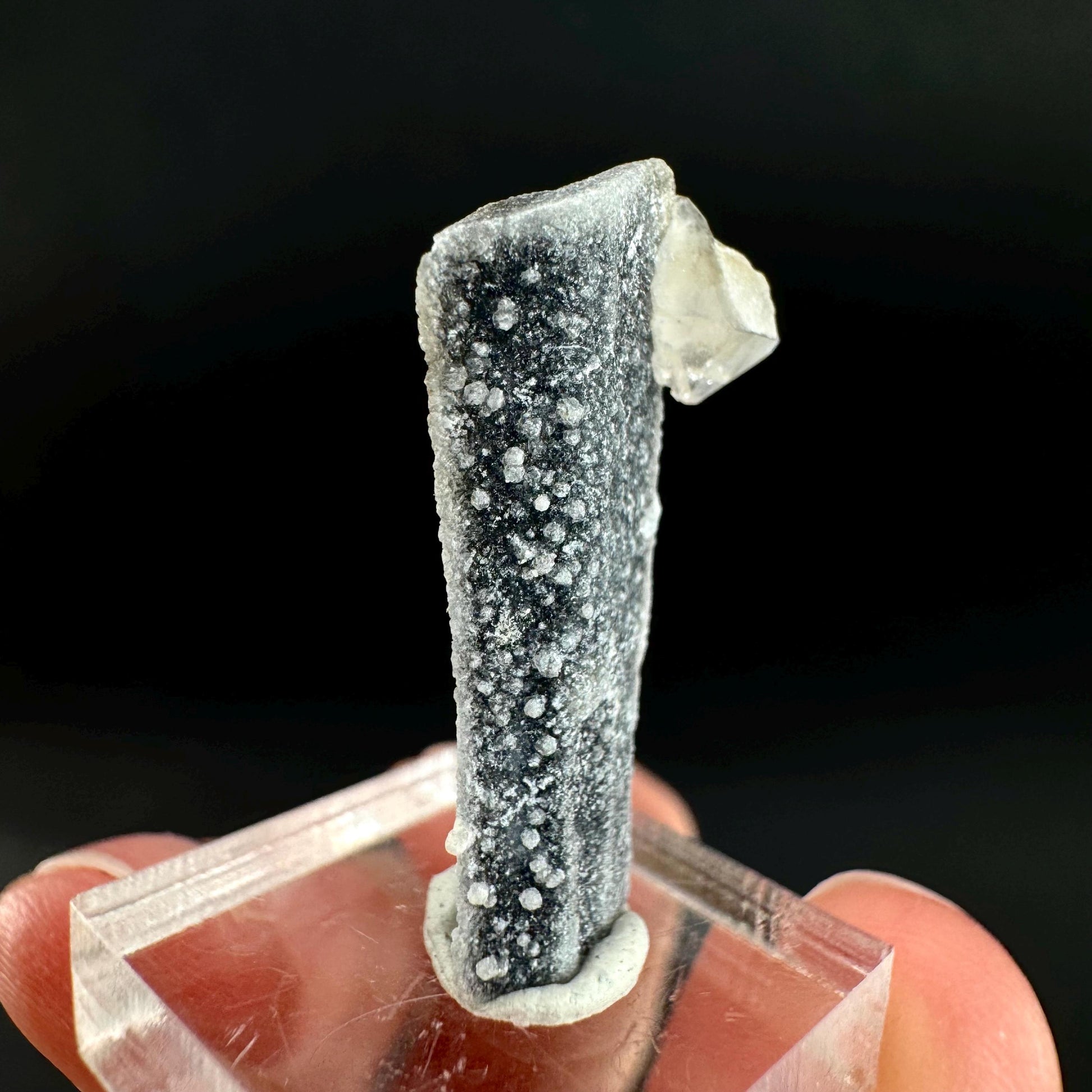 Herderite on Black Tourmaline | light green crystal, rare mineral specimen from Pakistan