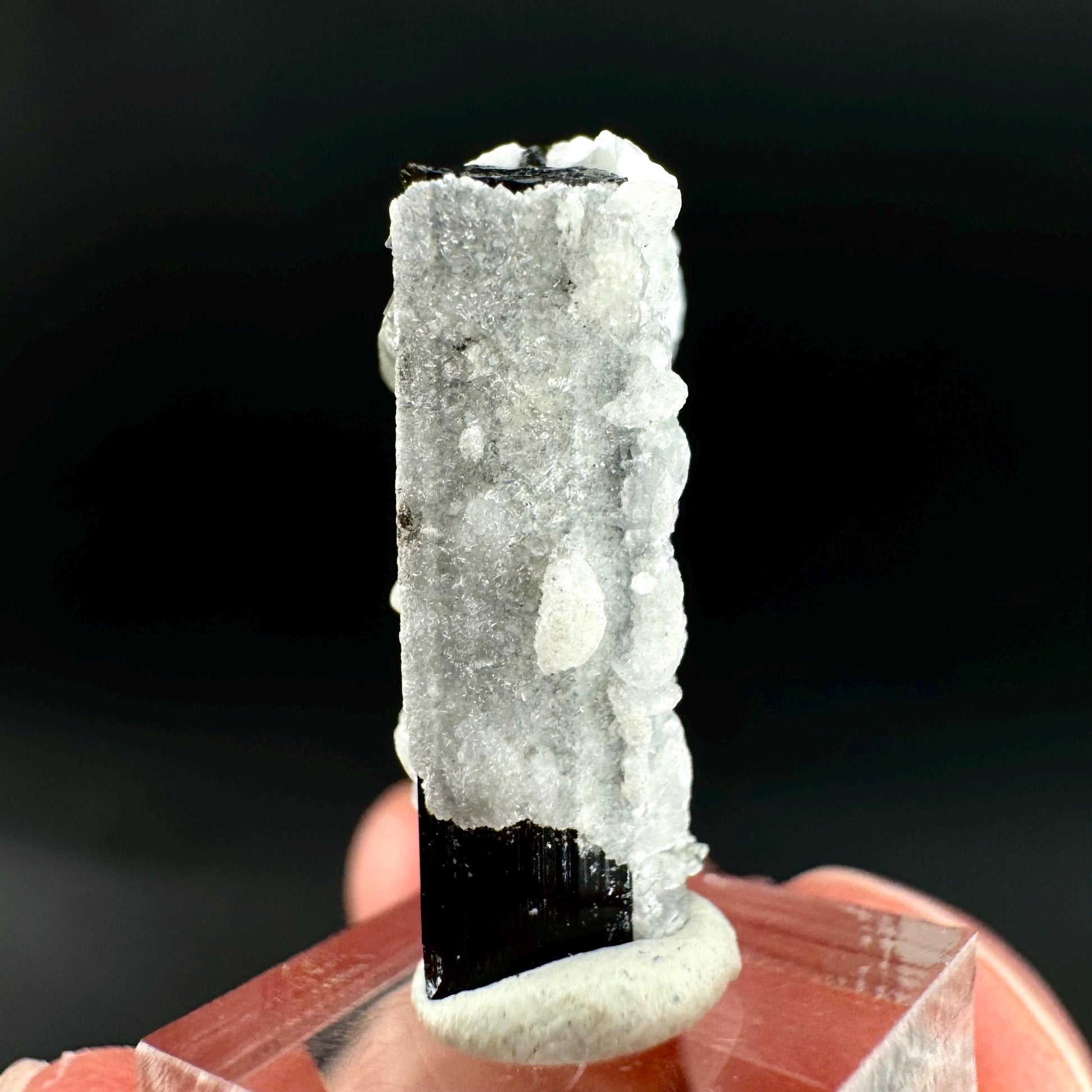 Herderite on Black Tourmaline | light green crystal, rare mineral specimen from Pakistan