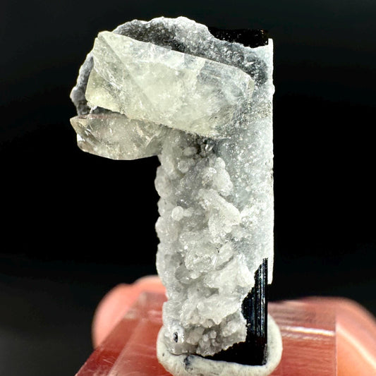 Herderite on Black Tourmaline | light green crystal, rare mineral specimen from Pakistan
