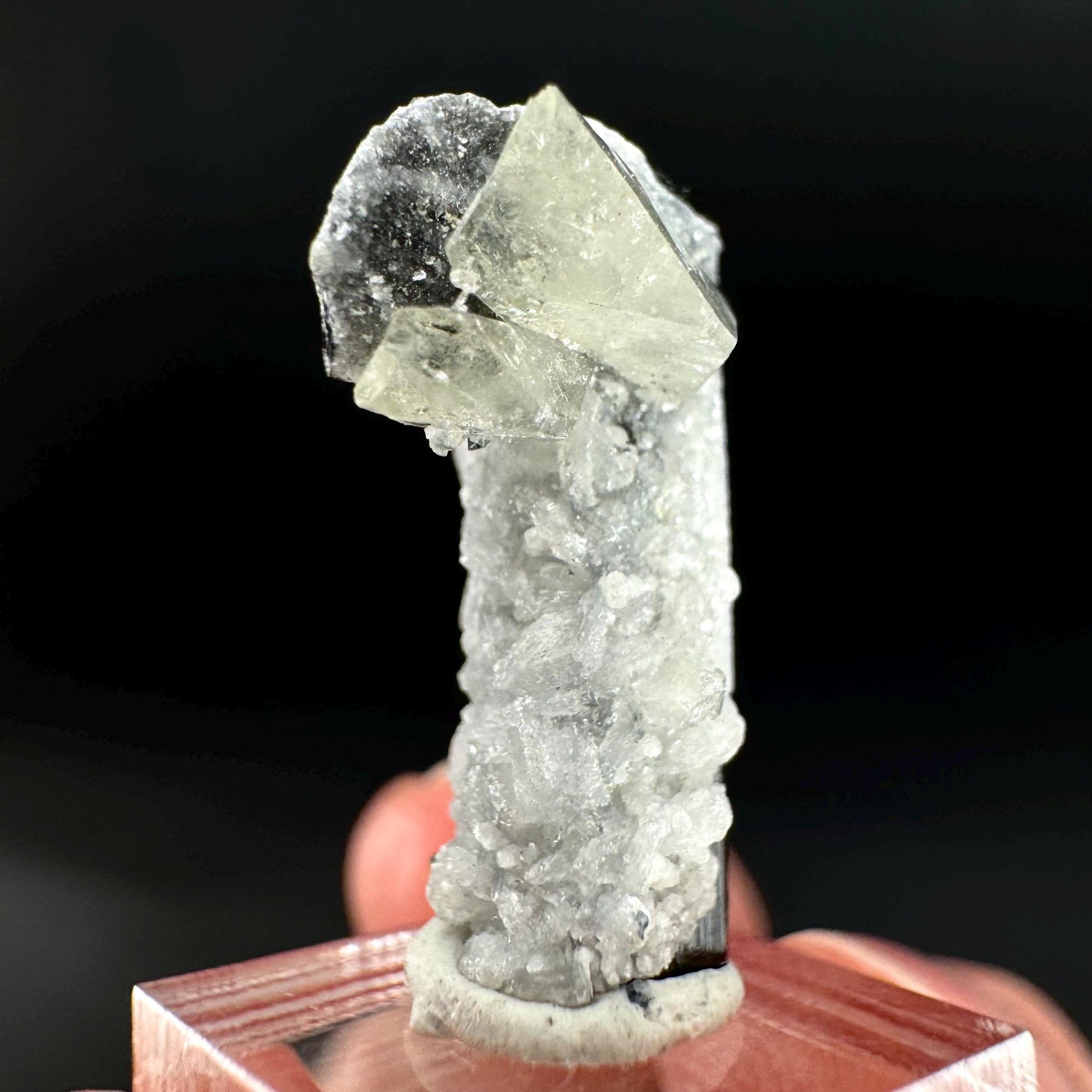 Herderite on Black Tourmaline | light green crystal, rare mineral specimen from Pakistan