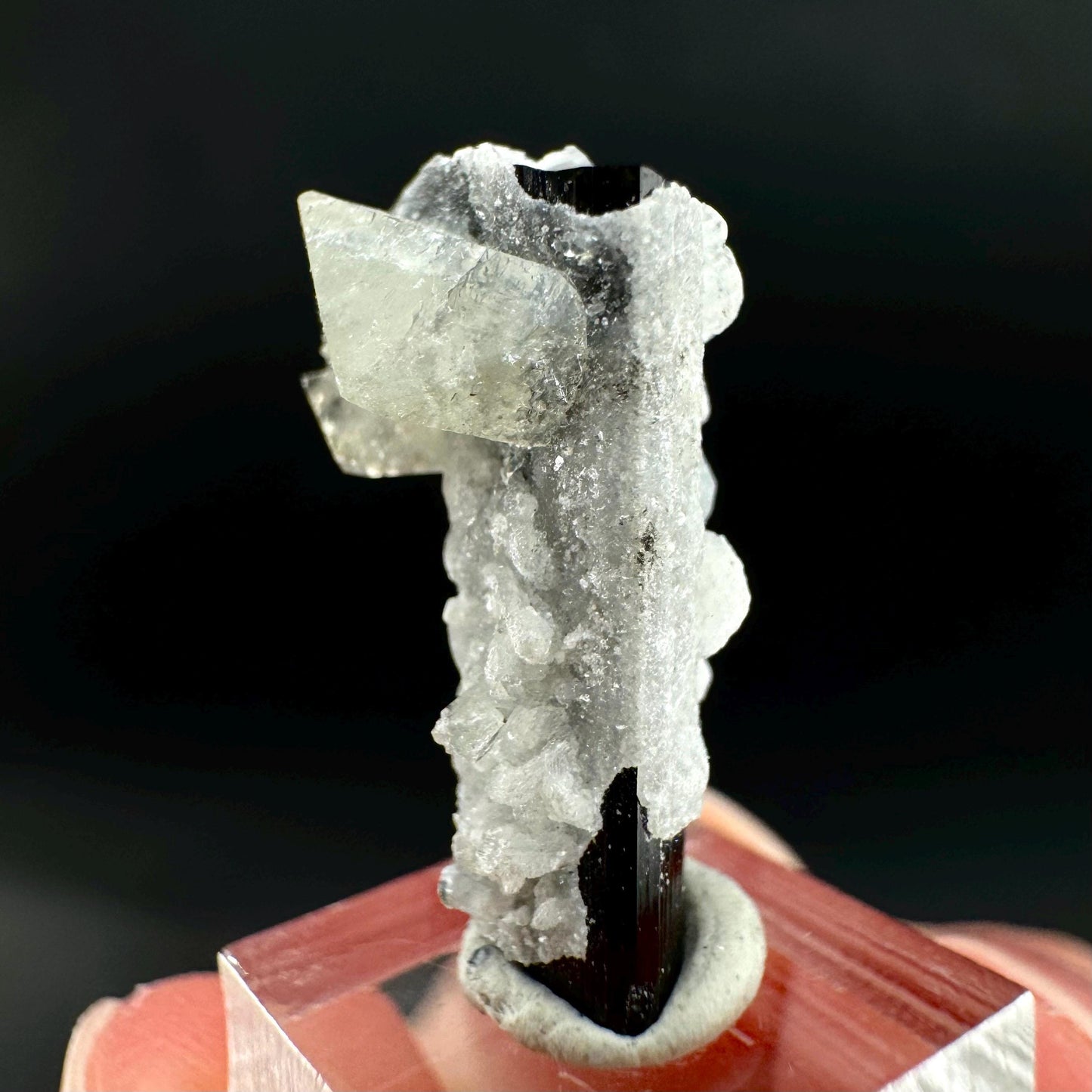 Herderite on Black Tourmaline | light green crystal, rare mineral specimen from Pakistan