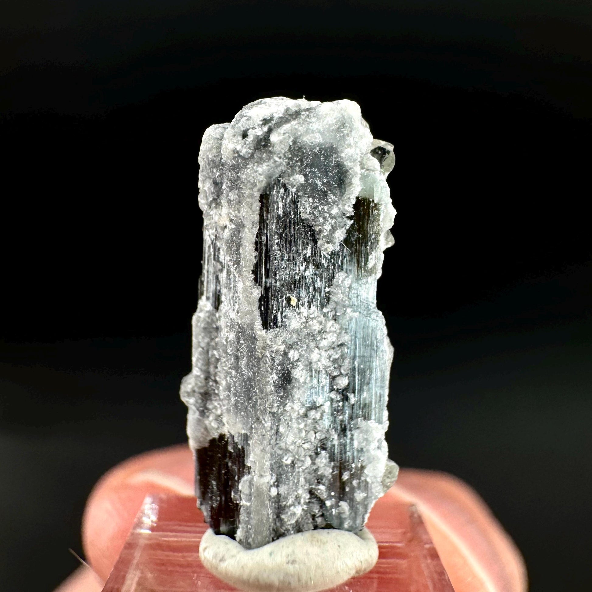 Herderite on Black Tourmaline | light green crystal, rare mineral specimen from Pakistan
