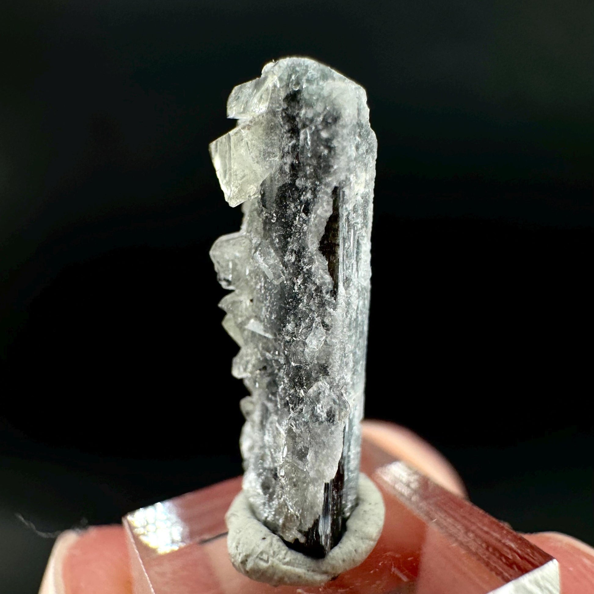 Herderite on Black Tourmaline | light green crystal, rare mineral specimen from Pakistan