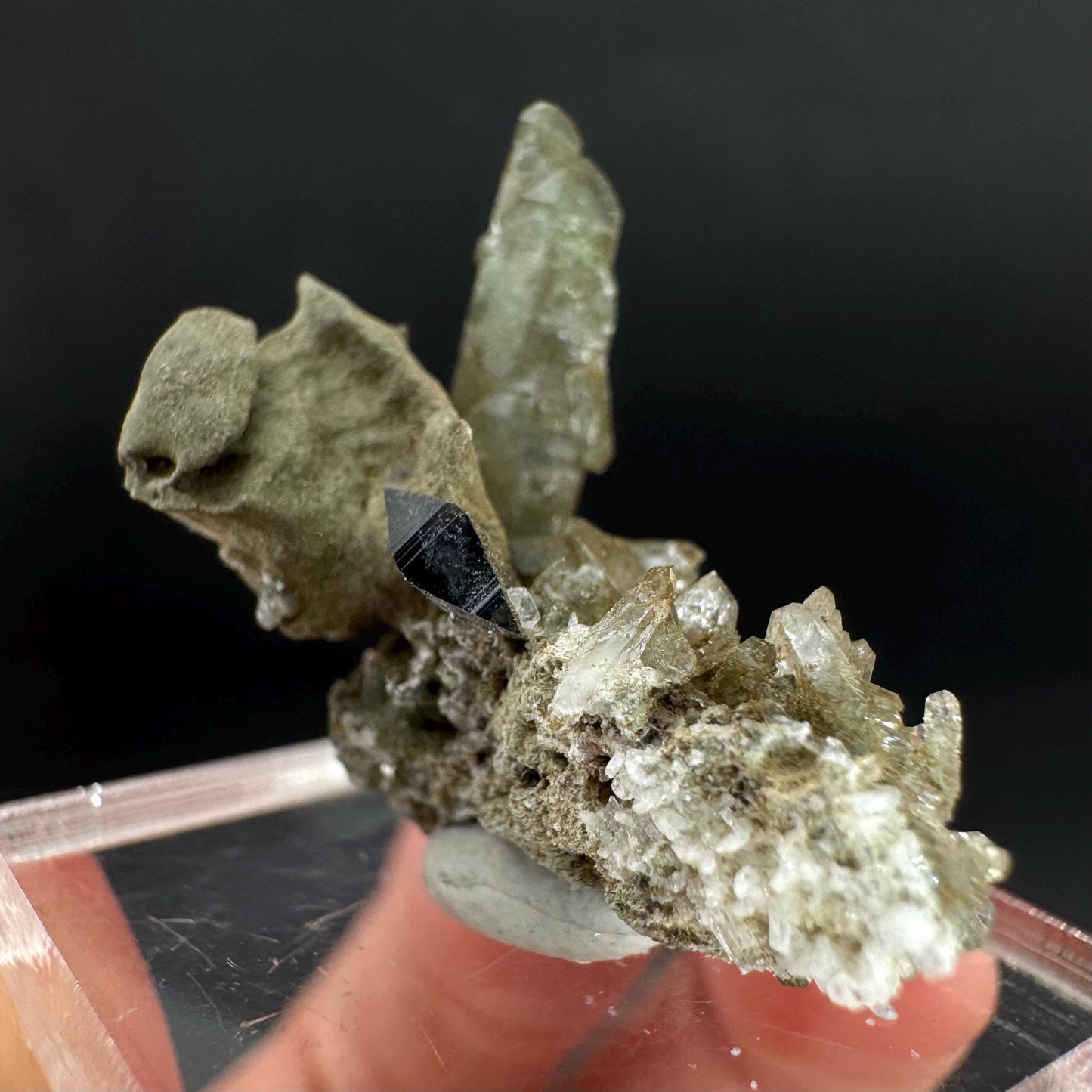 Anatase with Chlorite Quartz | Metallic Crystal, Rare Mineral Specimen from Pakistan