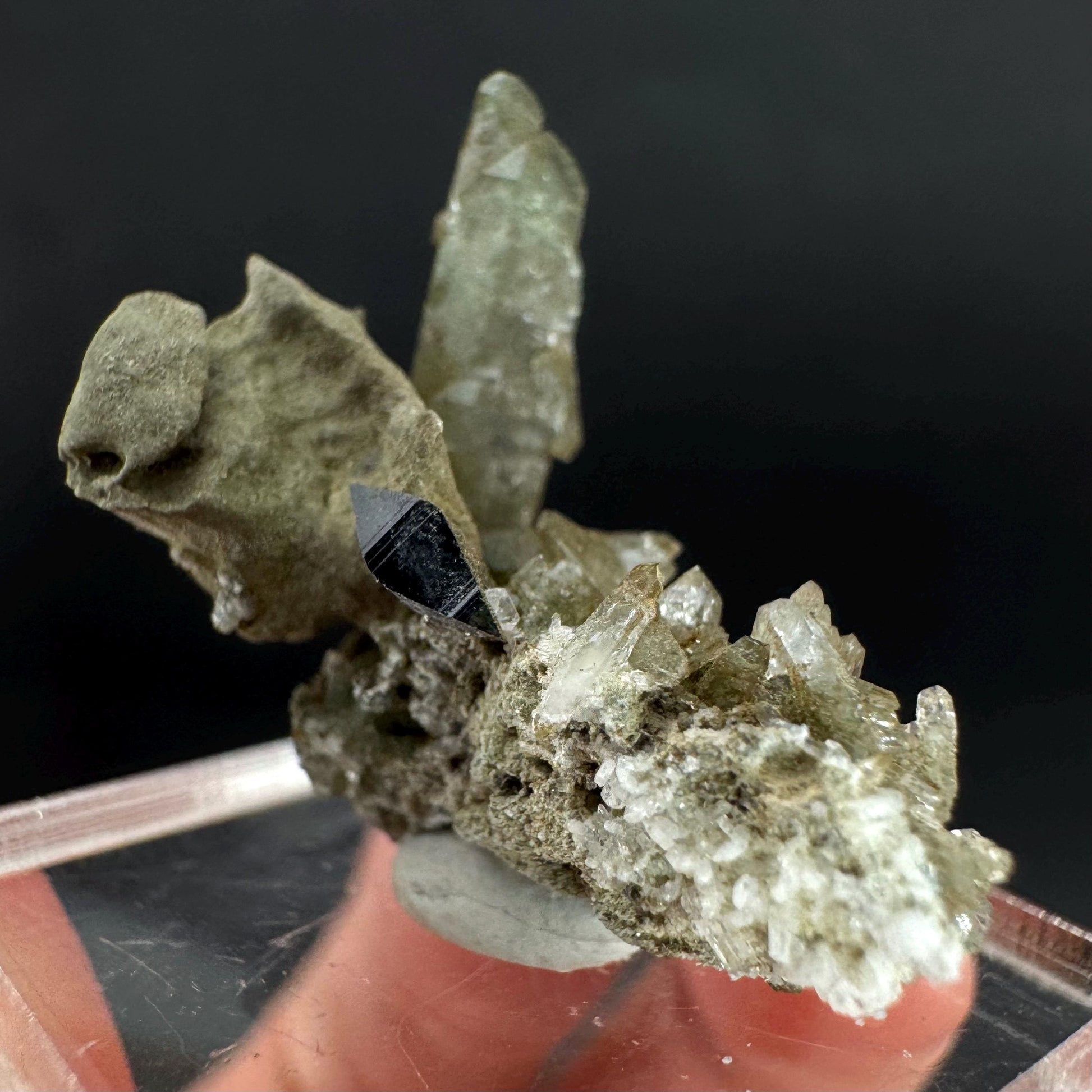 Anatase with Chlorite Quartz | Metallic Crystal, Rare Mineral Specimen from Pakistan