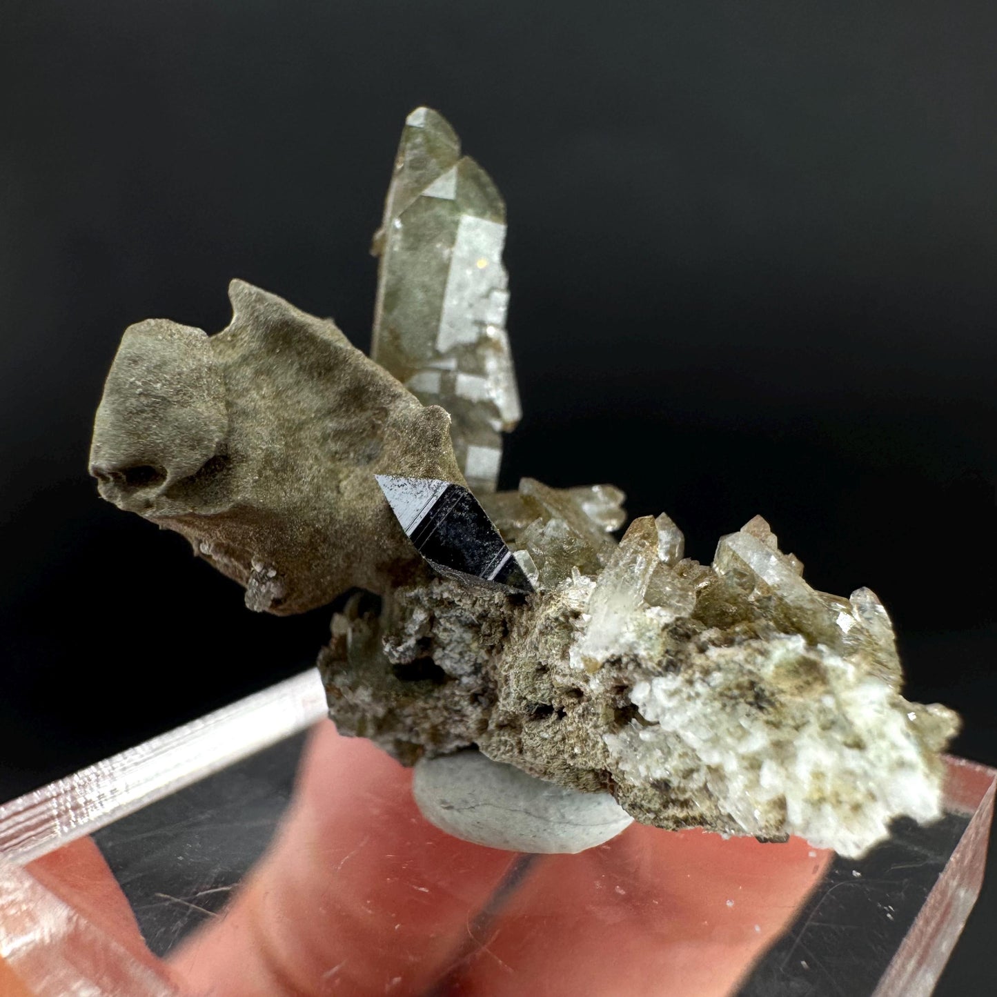 Anatase with Chlorite Quartz | Metallic Crystal, Rare Mineral Specimen from Pakistan