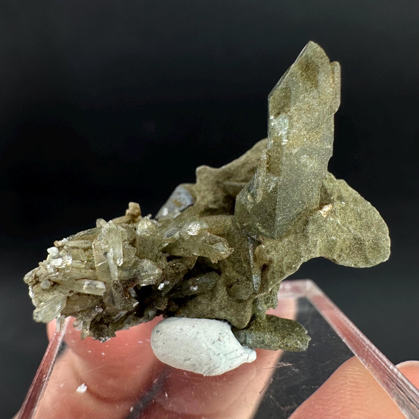 Anatase with Chlorite Quartz | Metallic Crystal, Rare Mineral Specimen from Pakistan