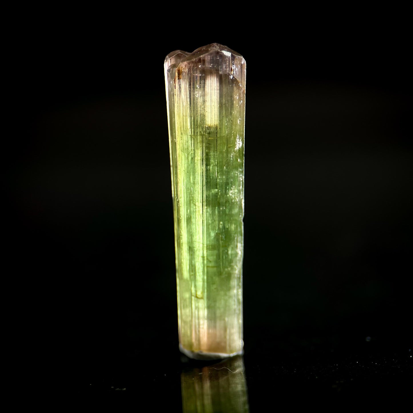 Watermelon Tourmaline | Green & Pink Bi-Color Elbaite Crystal, mineral specimen from Paprok
