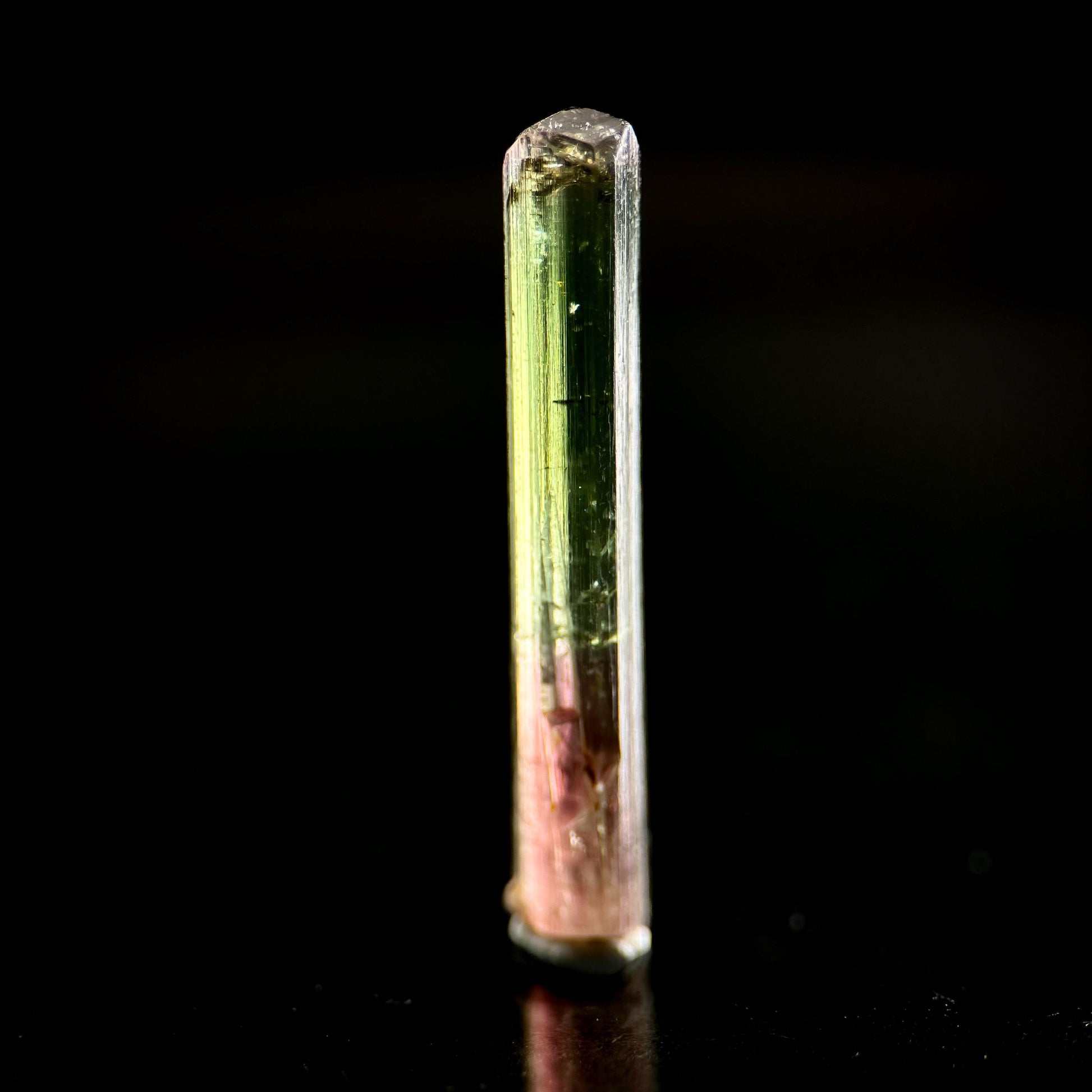 Watermelon Tourmaline | Green & Pink Bi-Color Elbaite Crystal, mineral specimen from Paprok