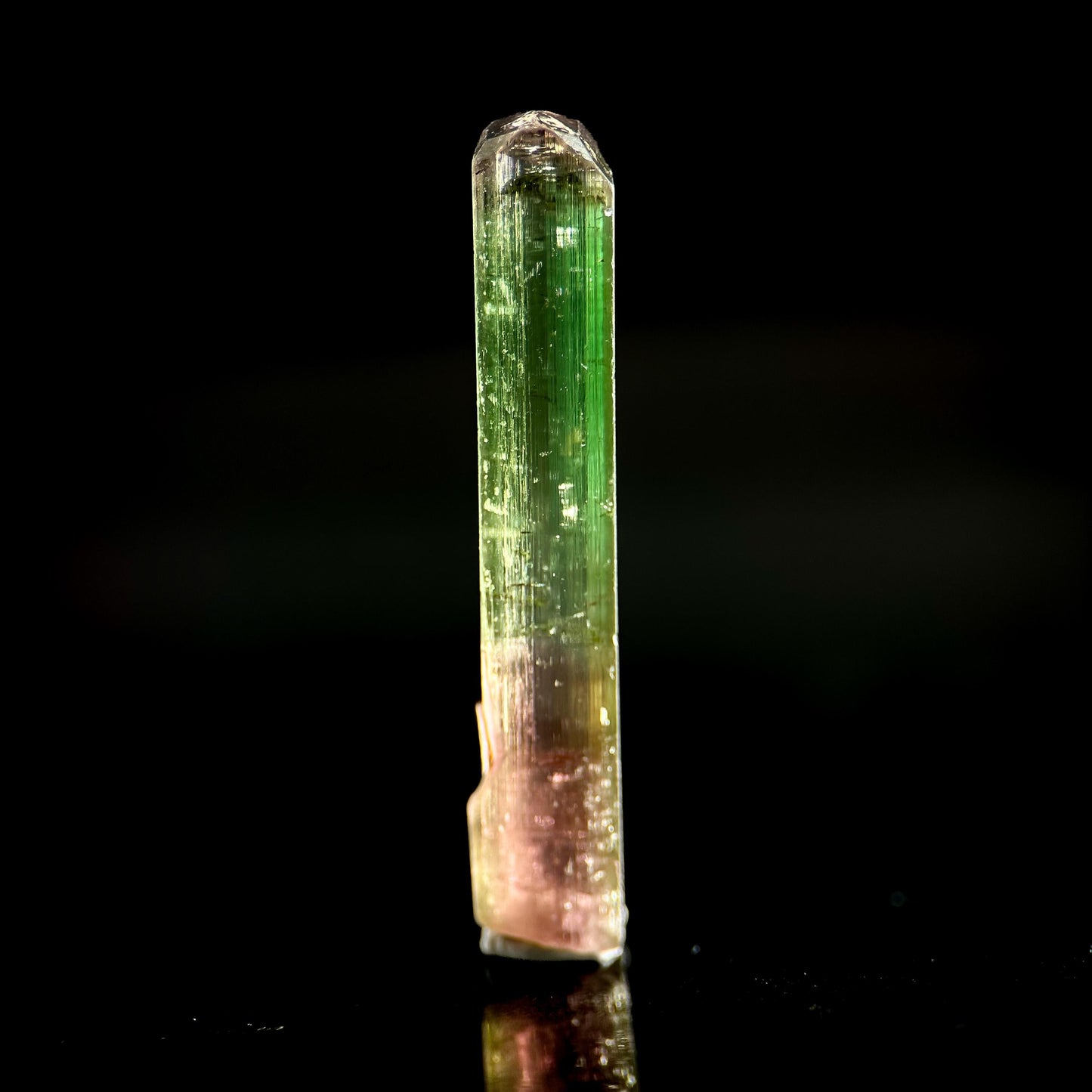 Watermelon Tourmaline | Green & Pink Bi-Color Elbaite Crystal, mineral specimen from Paprok