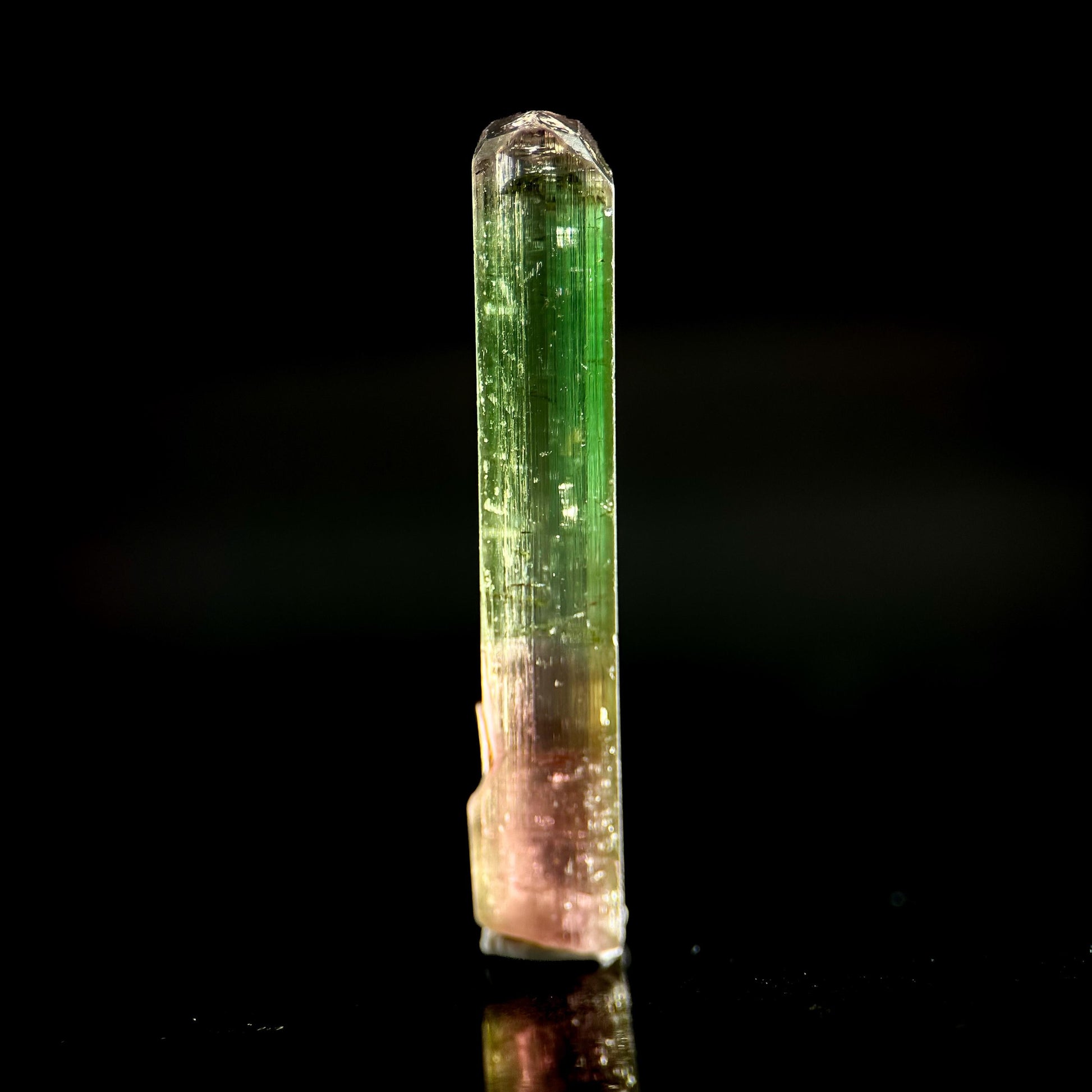 Watermelon Tourmaline | Green & Pink Bi-Color Elbaite Crystal, mineral specimen from Paprok