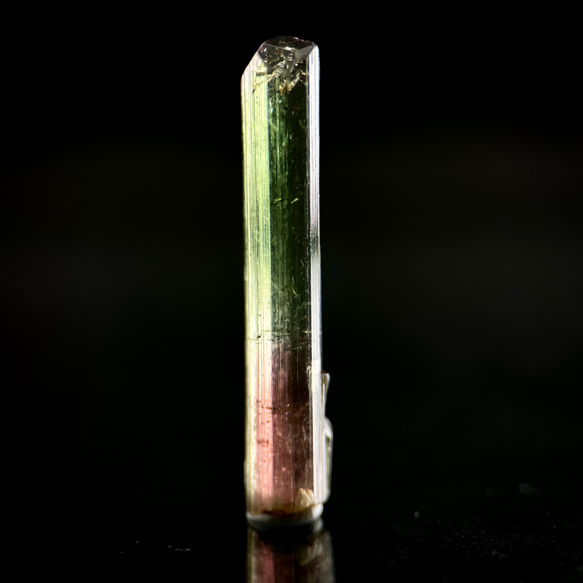 Watermelon Tourmaline | Green & Pink Bi-Color Elbaite Crystal, mineral specimen from Paprok