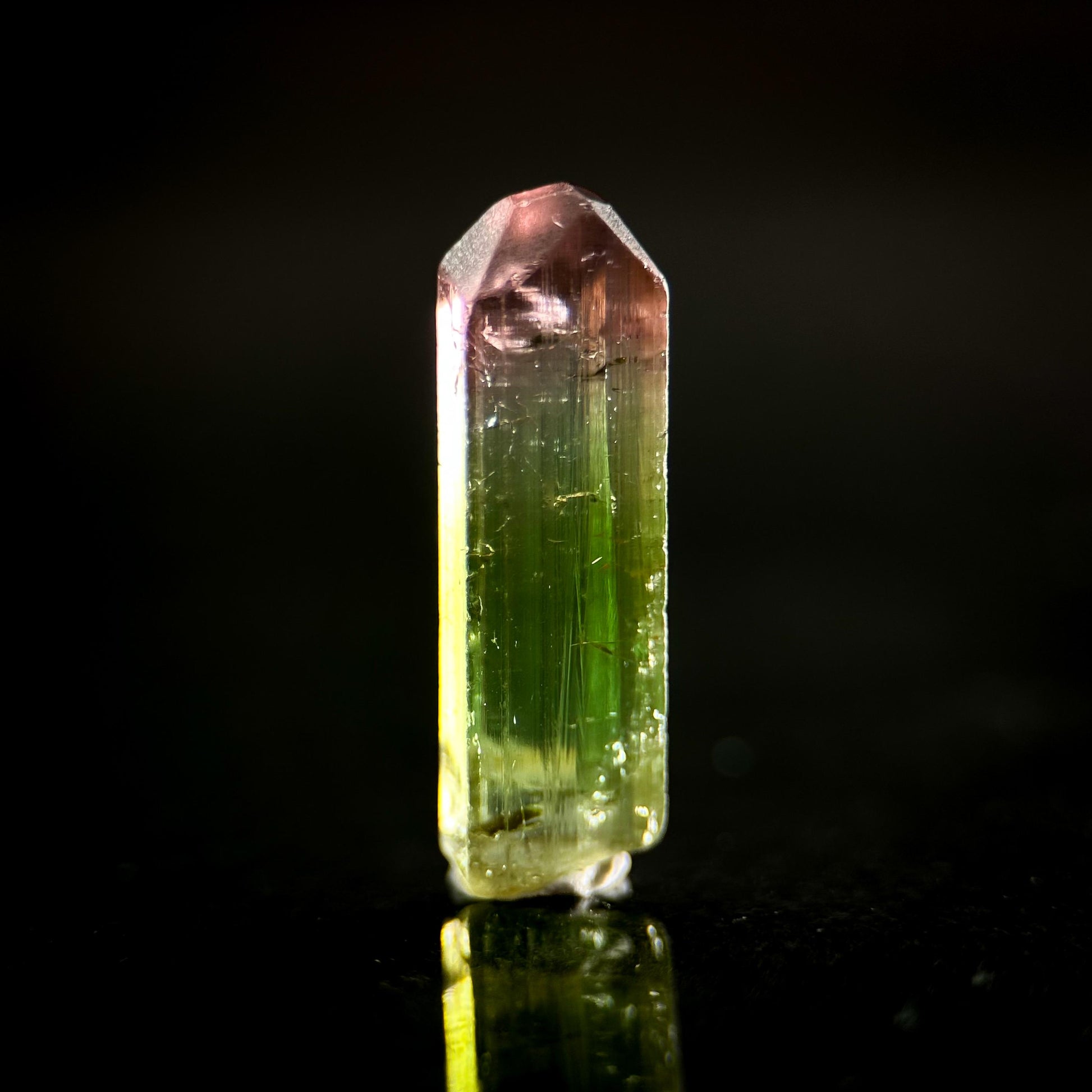 Watermelon Tourmaline | Green & Pink Bi-Color Elbaite Crystal, mineral specimen from Paprok