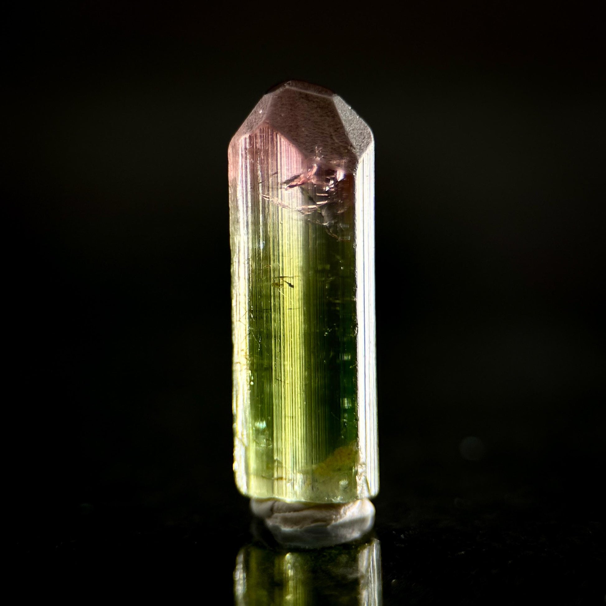 Watermelon Tourmaline | Green & Pink Bi-Color Elbaite Crystal, mineral specimen from Paprok