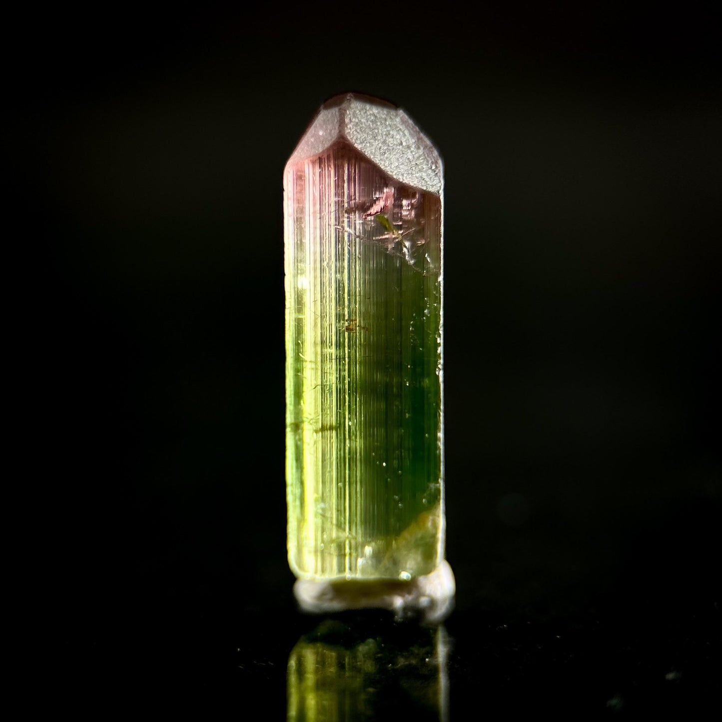 Watermelon Tourmaline | Green & Pink Bi-Color Elbaite Crystal, mineral specimen from Paprok