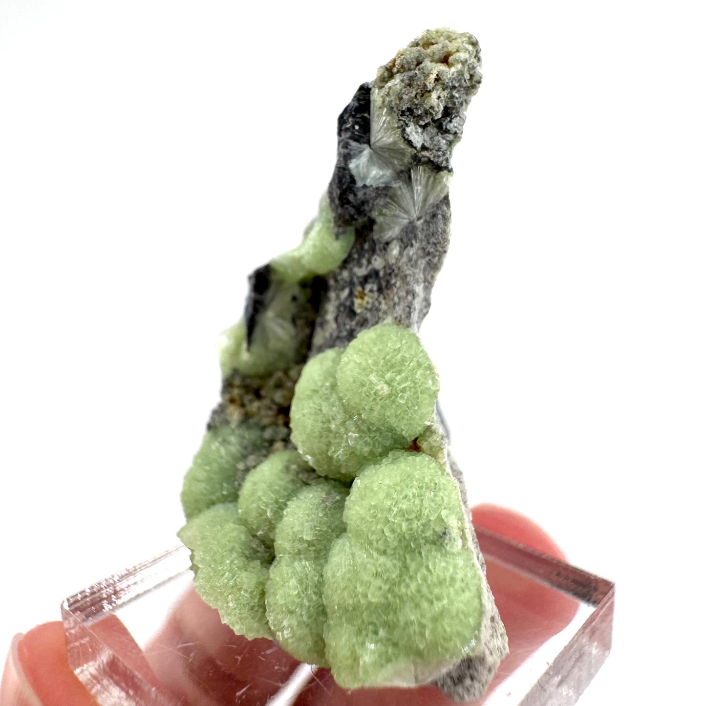 Wavellite (Arkansas, USA) | green crystal cluster, mineral specimen