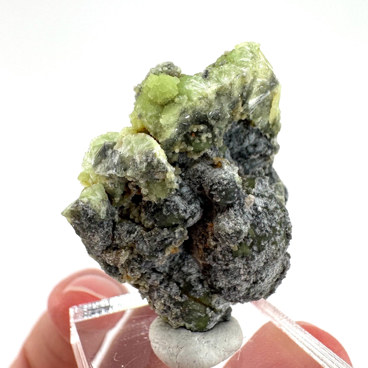Wavellite (Arkansas, USA) | green crystal cluster, mineral specimen