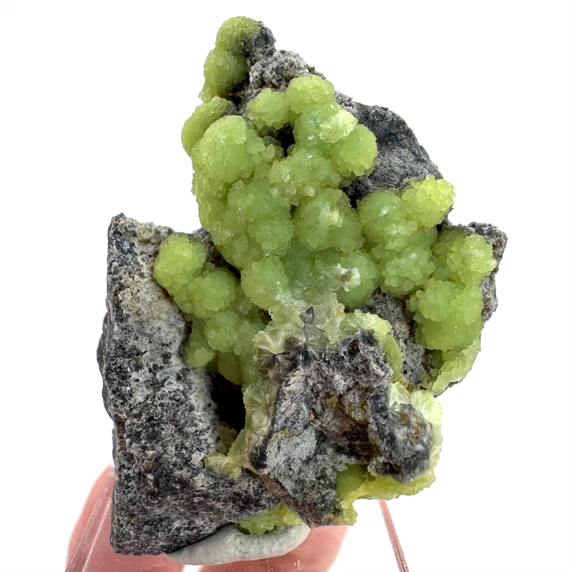 Wavellite (Arkansas, USA) | green crystal cluster, mineral specimen