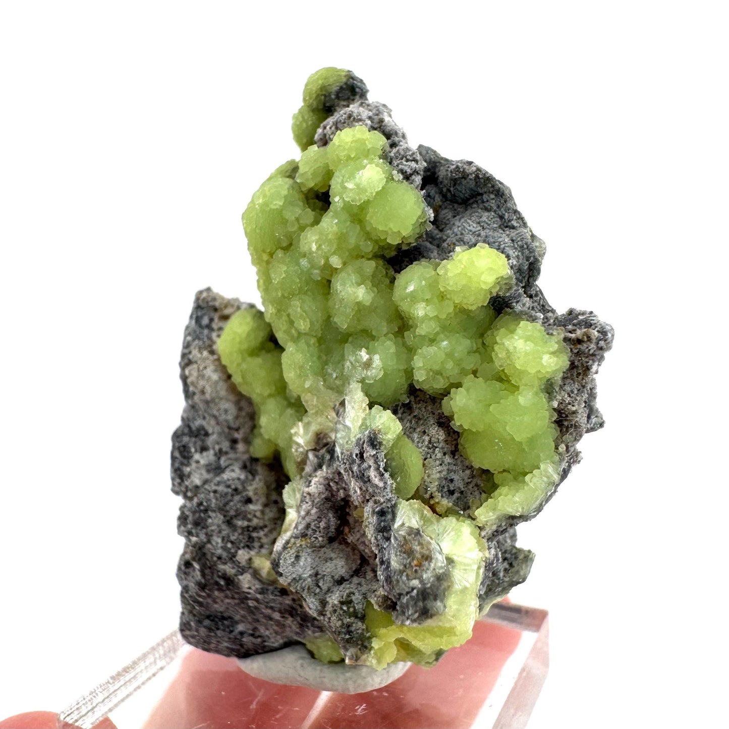Wavellite (Arkansas, USA) | green crystal cluster, mineral specimen