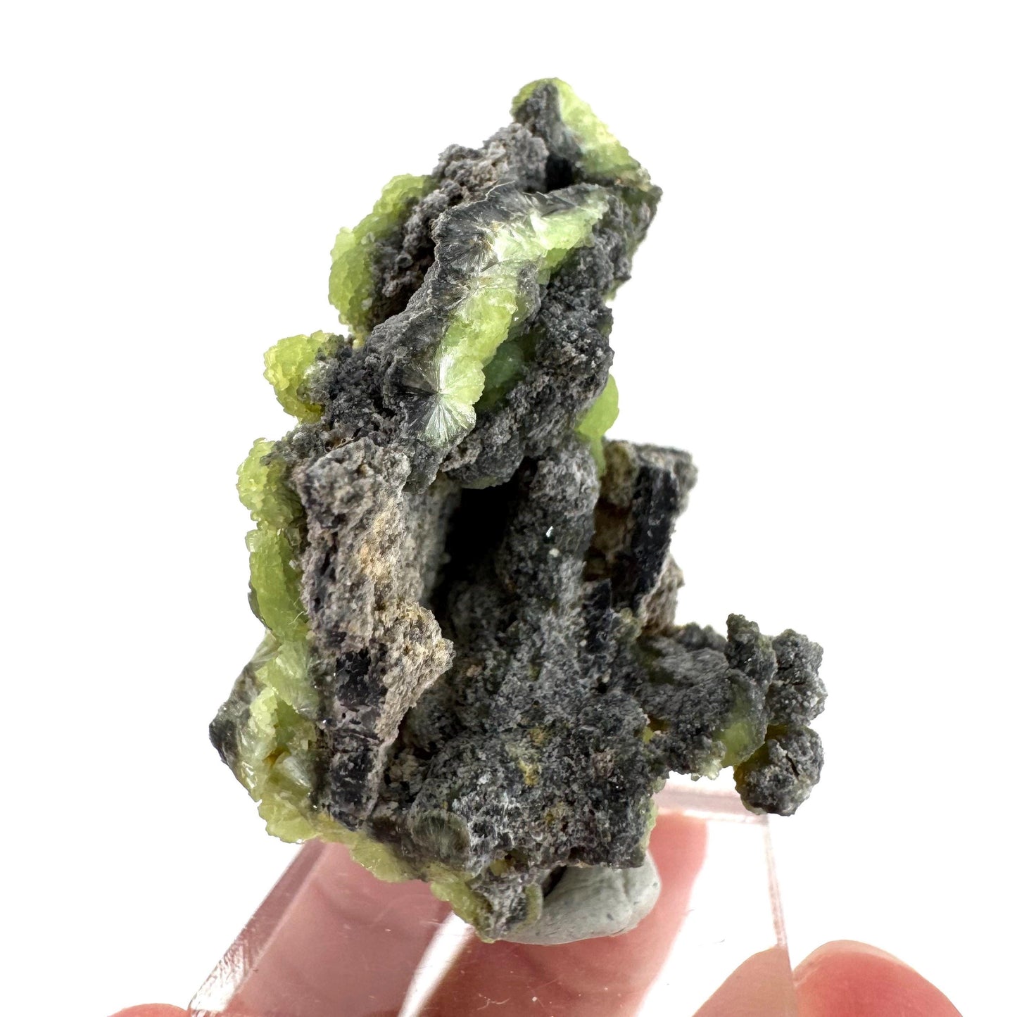 Wavellite (Arkansas, USA) | green crystal cluster, mineral specimen