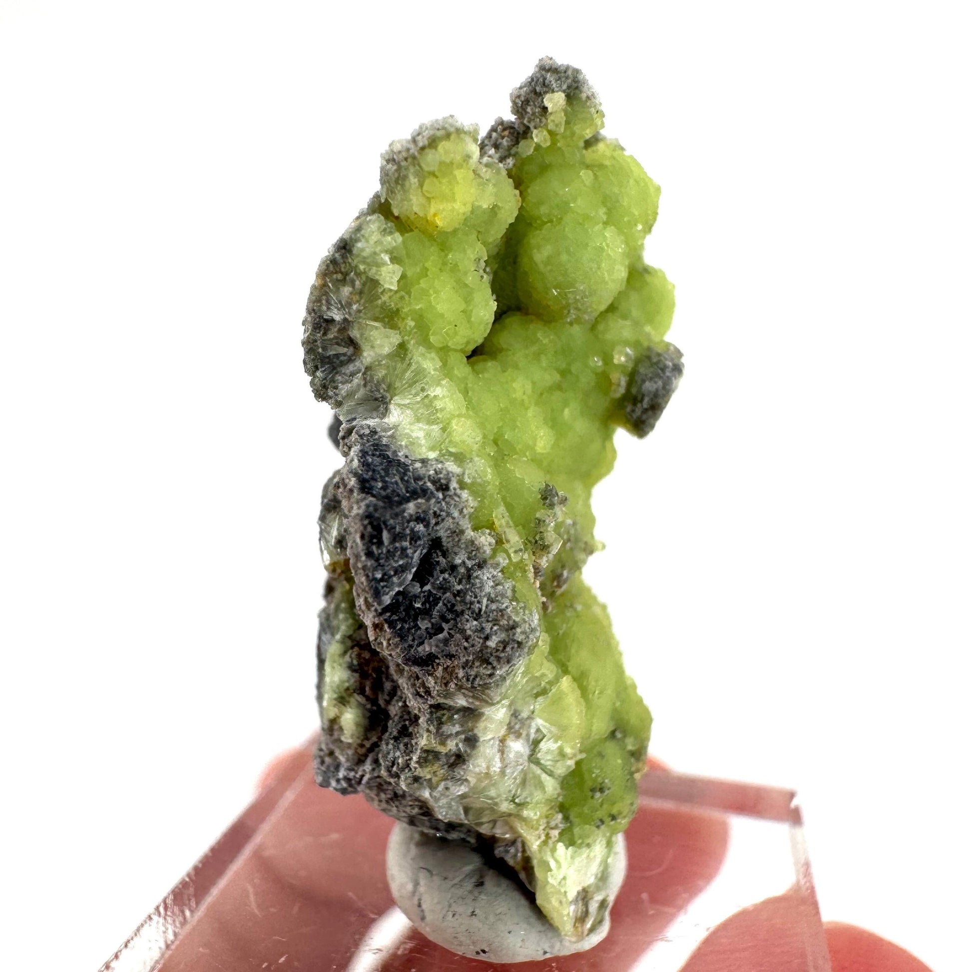 Wavellite (Arkansas, USA) | green crystal cluster, mineral specimen