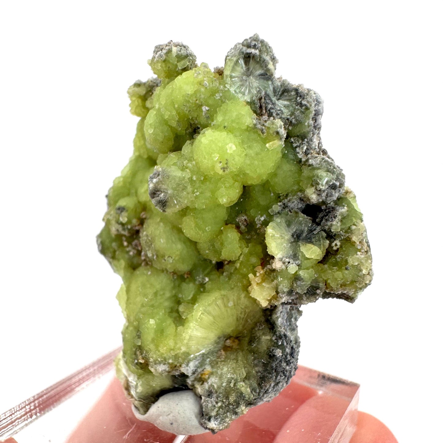 Wavellite (Arkansas, USA) | green crystal cluster, mineral specimen