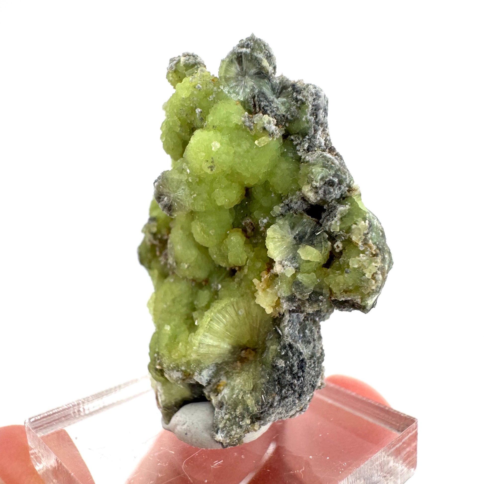 Wavellite (Arkansas, USA) | green crystal cluster, mineral specimen