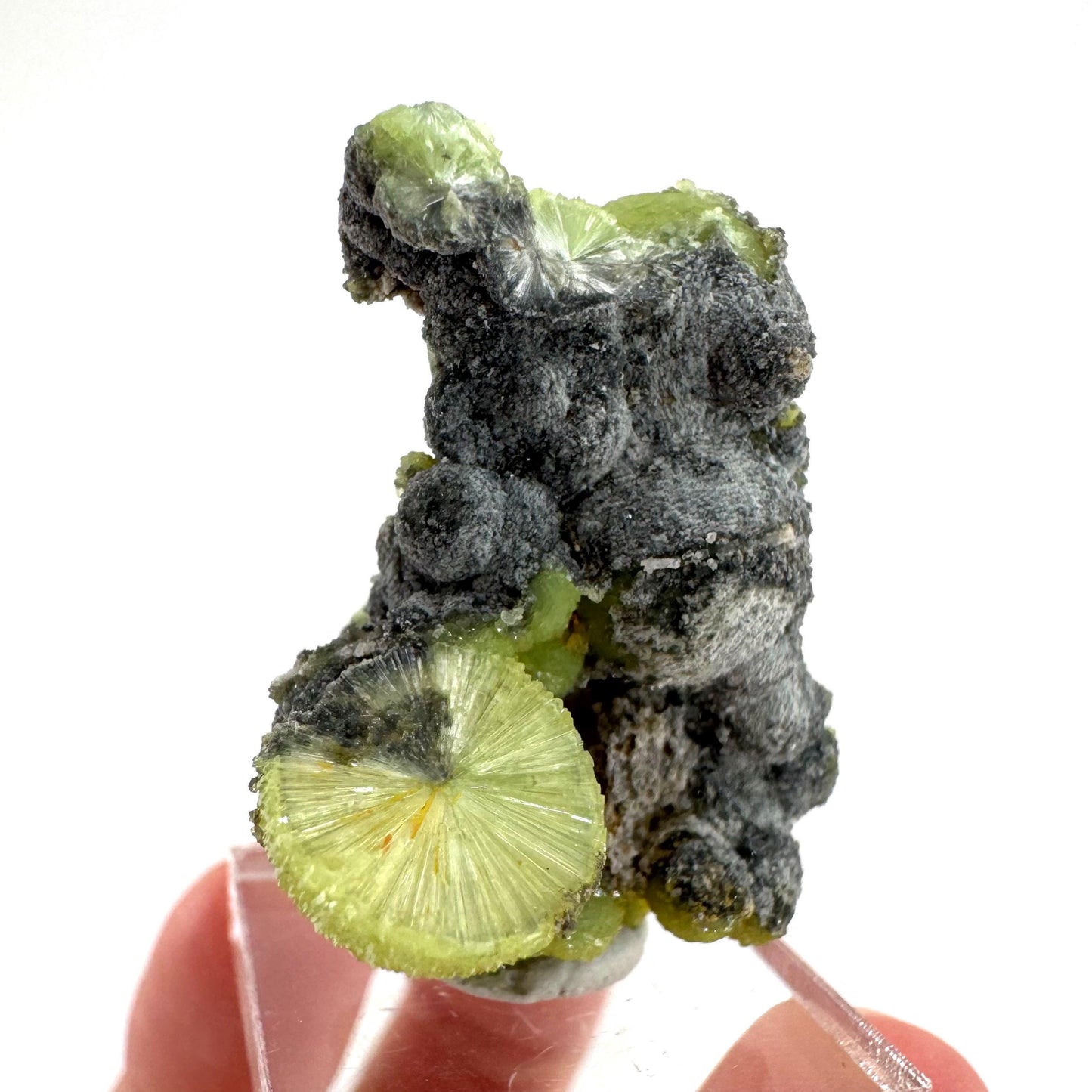 Wavellite (Arkansas, USA) | green crystal cluster, mineral specimen