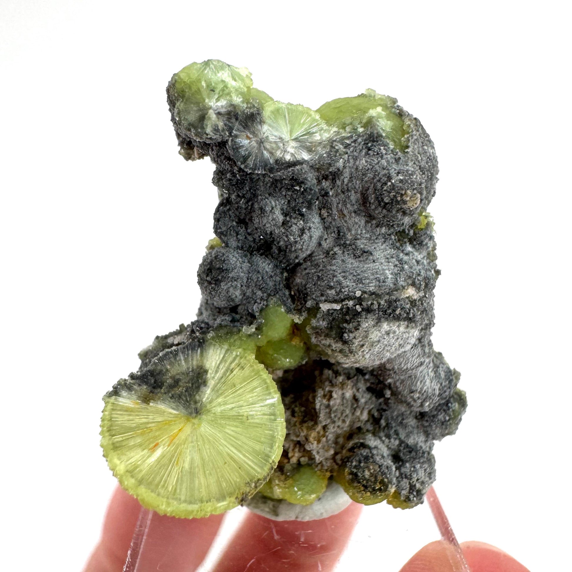 Wavellite (Arkansas, USA) | green crystal cluster, mineral specimen