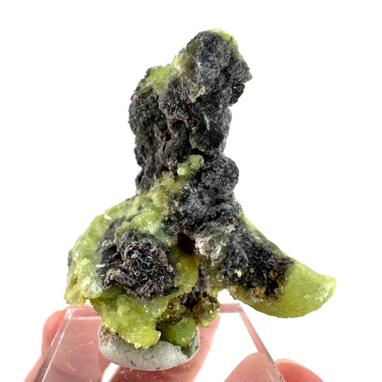 Wavellite (Arkansas, USA) | green crystal cluster, mineral specimen