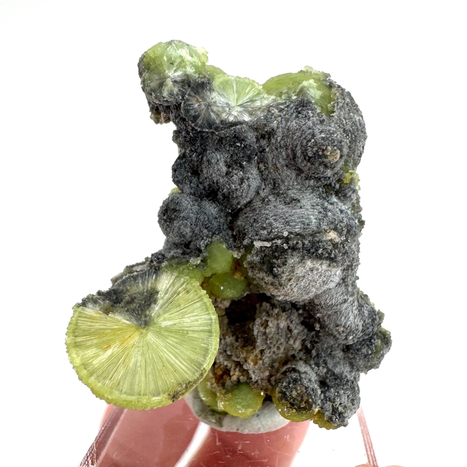 Wavellite (Arkansas, USA) | green crystal cluster, mineral specimen