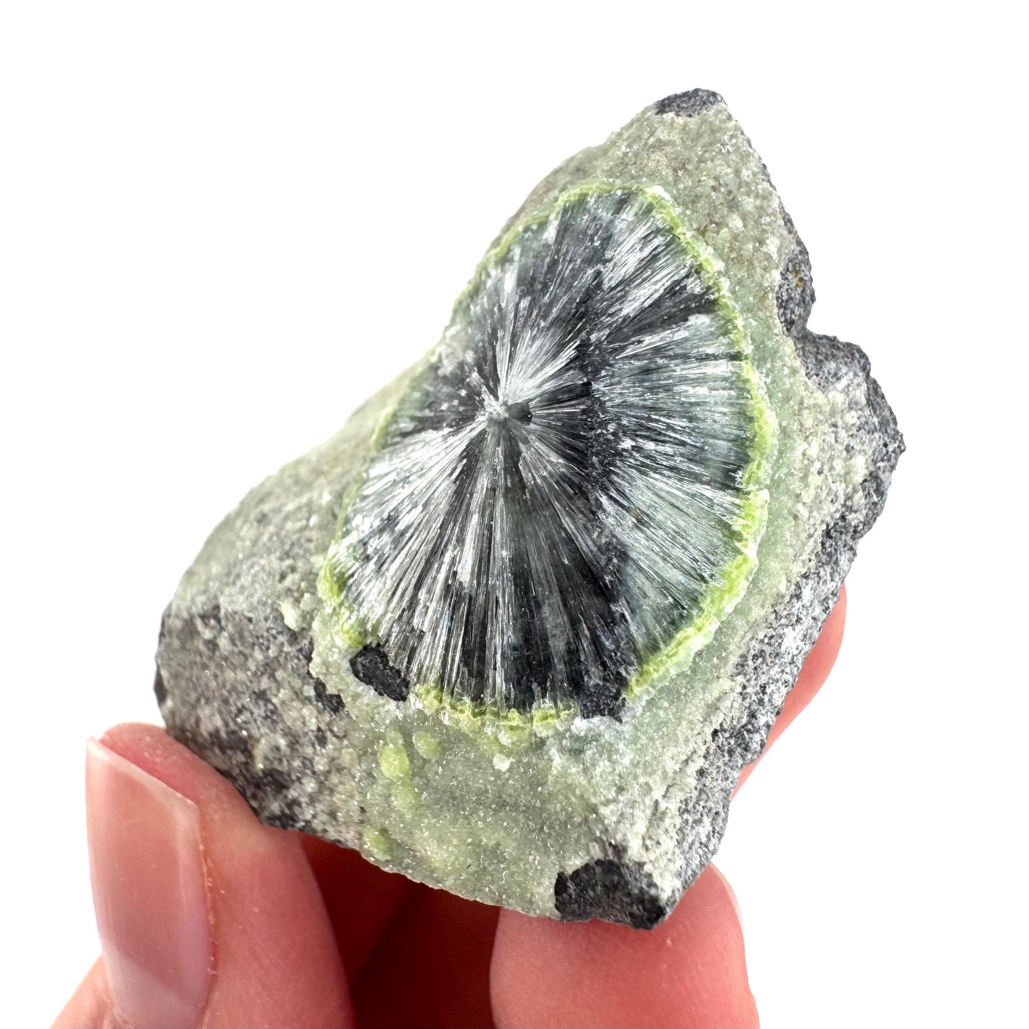Wavellite (Arkansas, USA) | green crystal cluster, mineral specimen
