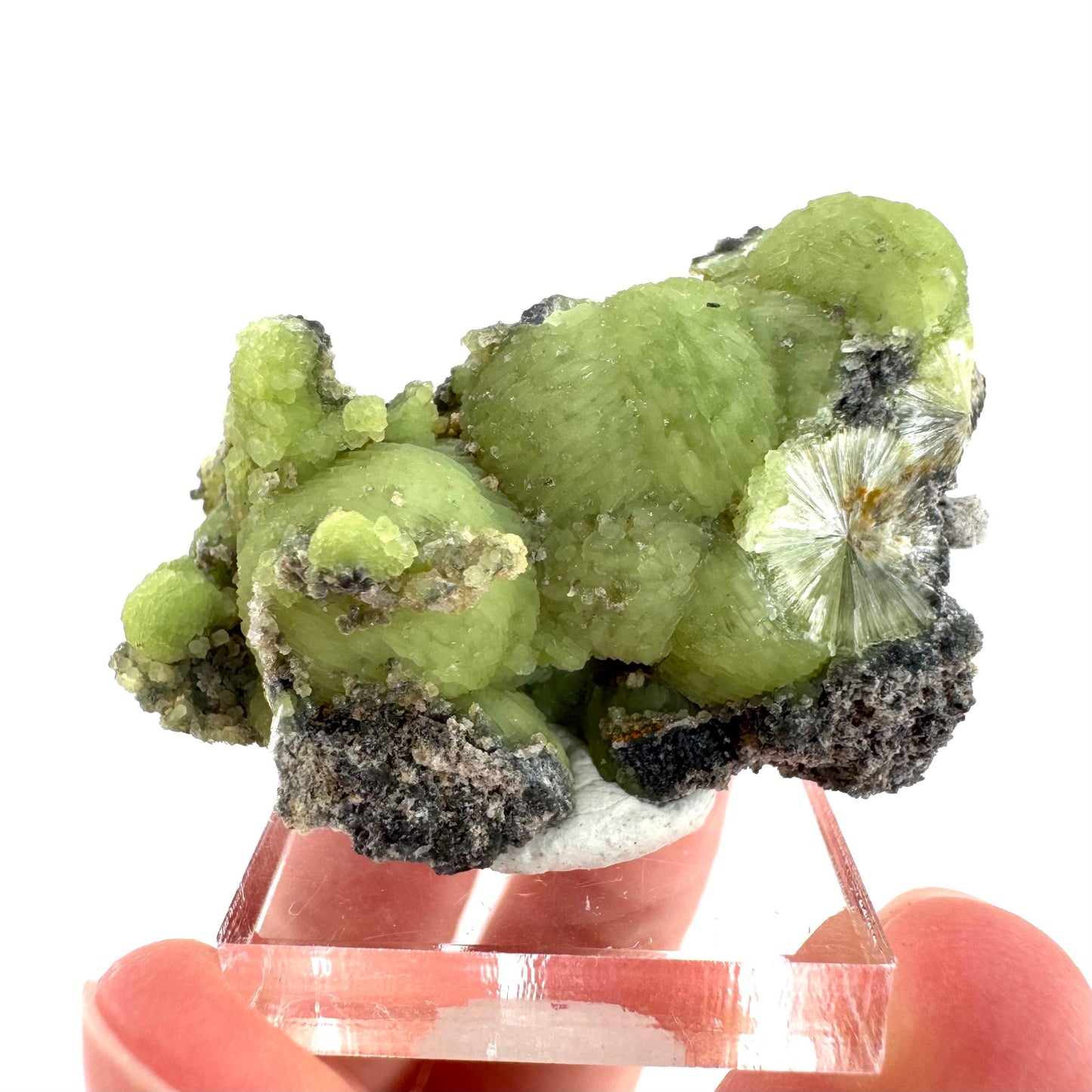 Wavellite (Arkansas, USA) | green crystal cluster, mineral specimen