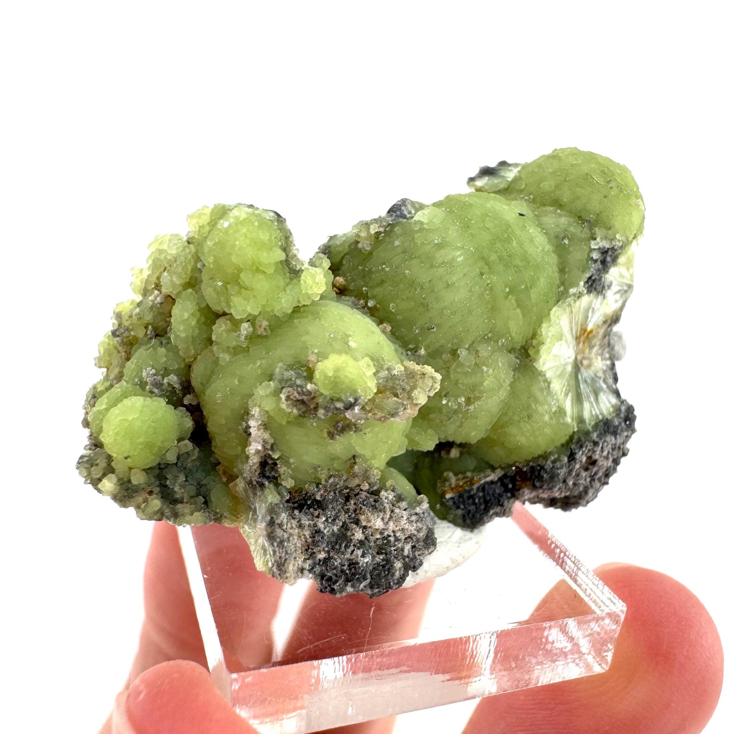 Wavellite (Arkansas, USA) | green crystal cluster, mineral specimen