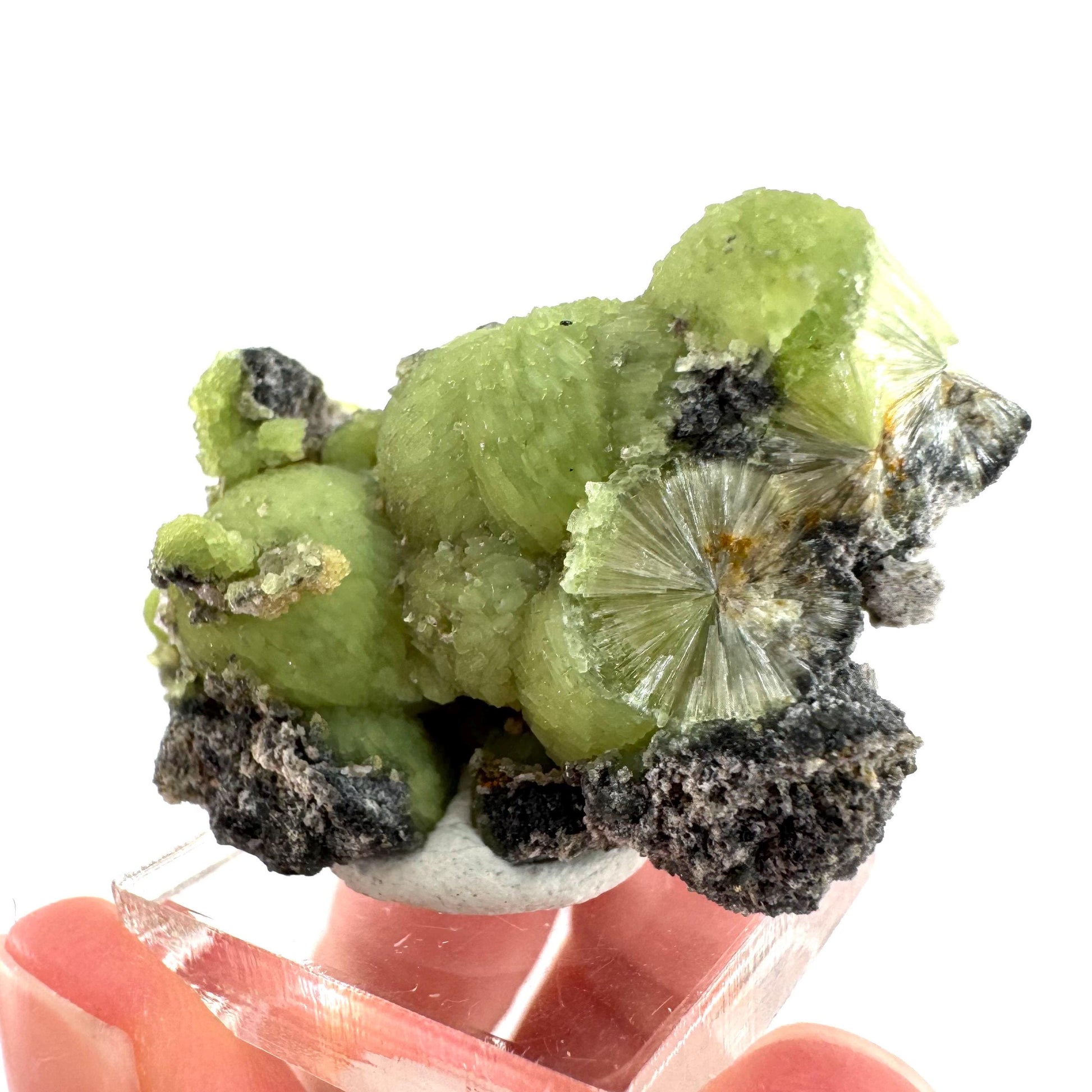Wavellite (Arkansas, USA) | green crystal cluster, mineral specimen