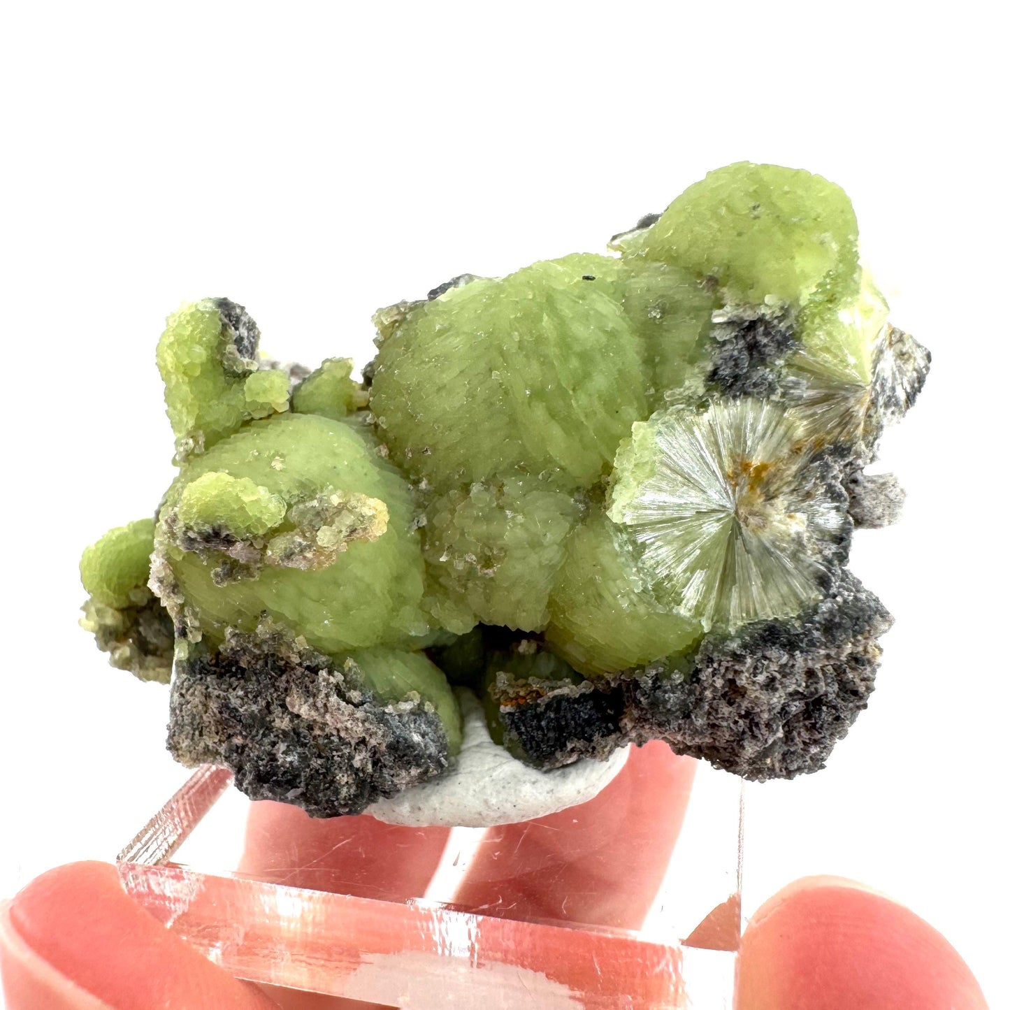 Wavellite (Arkansas, USA) | green crystal cluster, mineral specimen