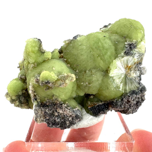 Wavellite (Arkansas, USA) | green crystal cluster, mineral specimen
