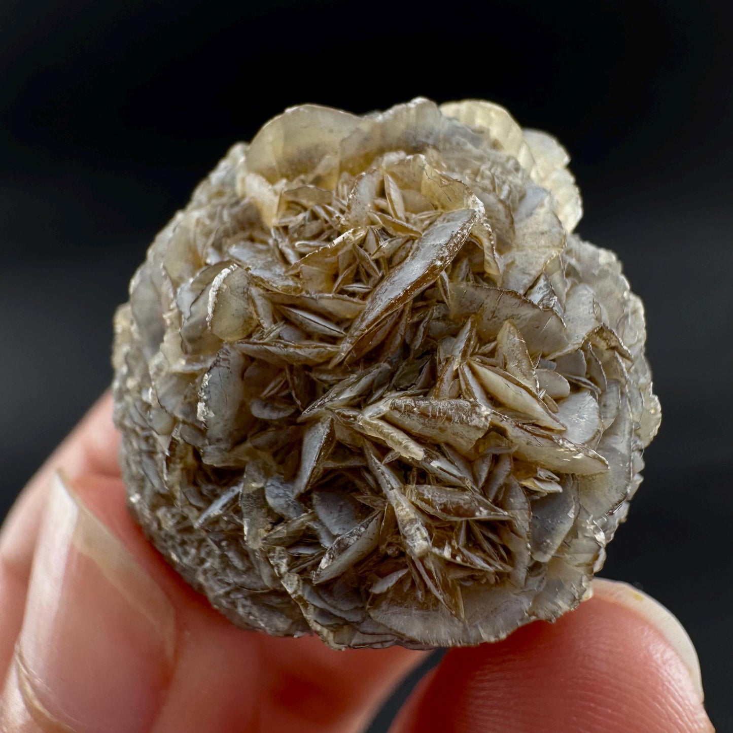 Golden Selenite Rosette | Fluorescent UV Reactive Gypsum Crystal