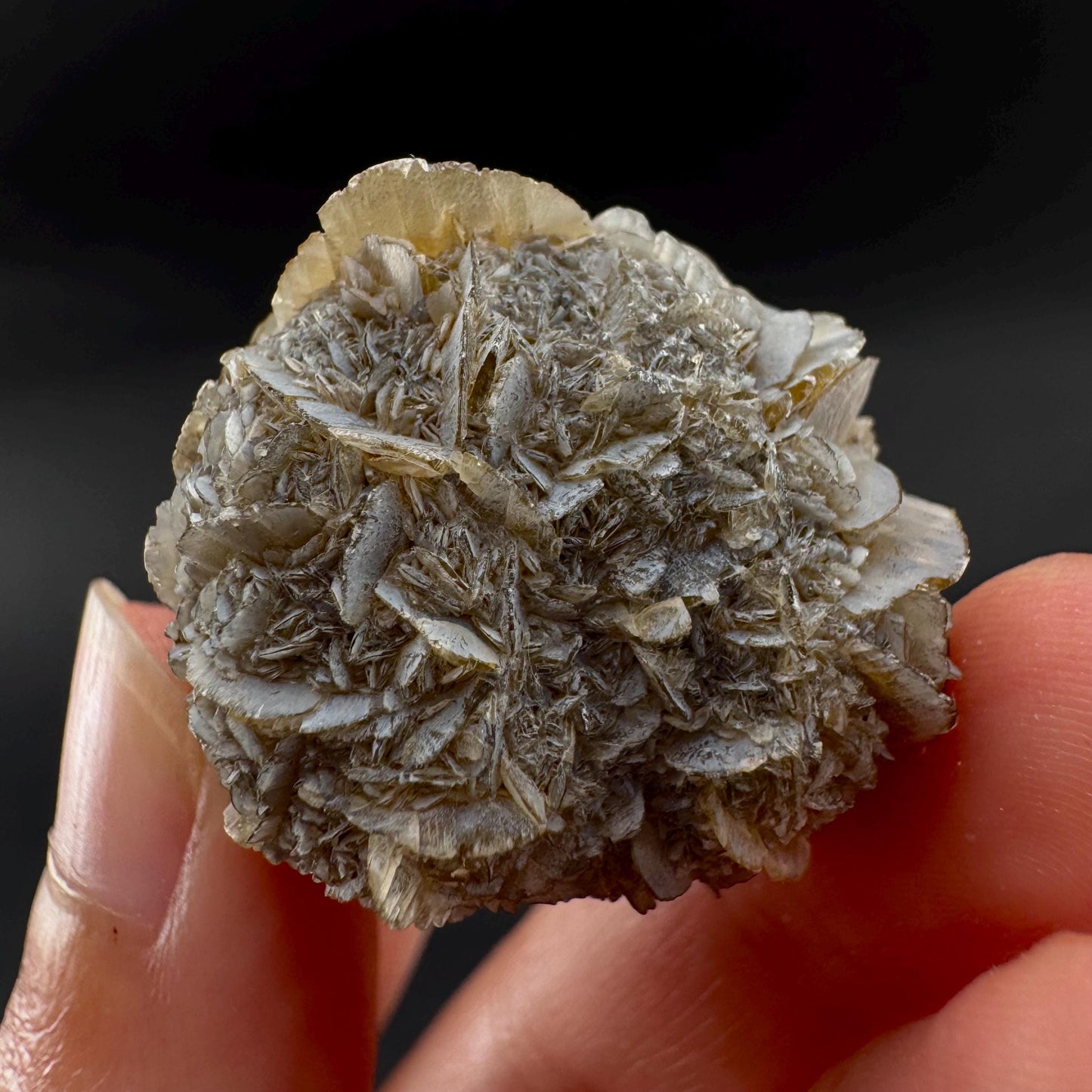 Golden Selenite Rosette | Fluorescent UV Reactive Gypsum Crystal
