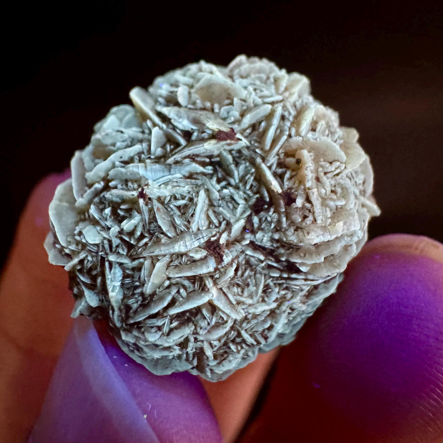 Golden Selenite Rosette | Fluorescent UV Reactive Gypsum Crystal