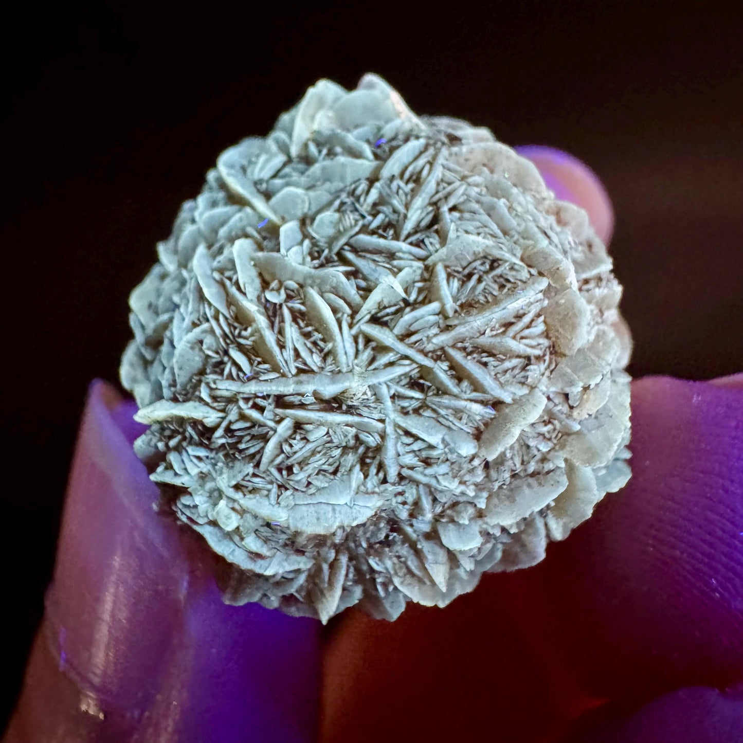 Golden Selenite Rosette | Fluorescent UV Reactive Gypsum Crystal