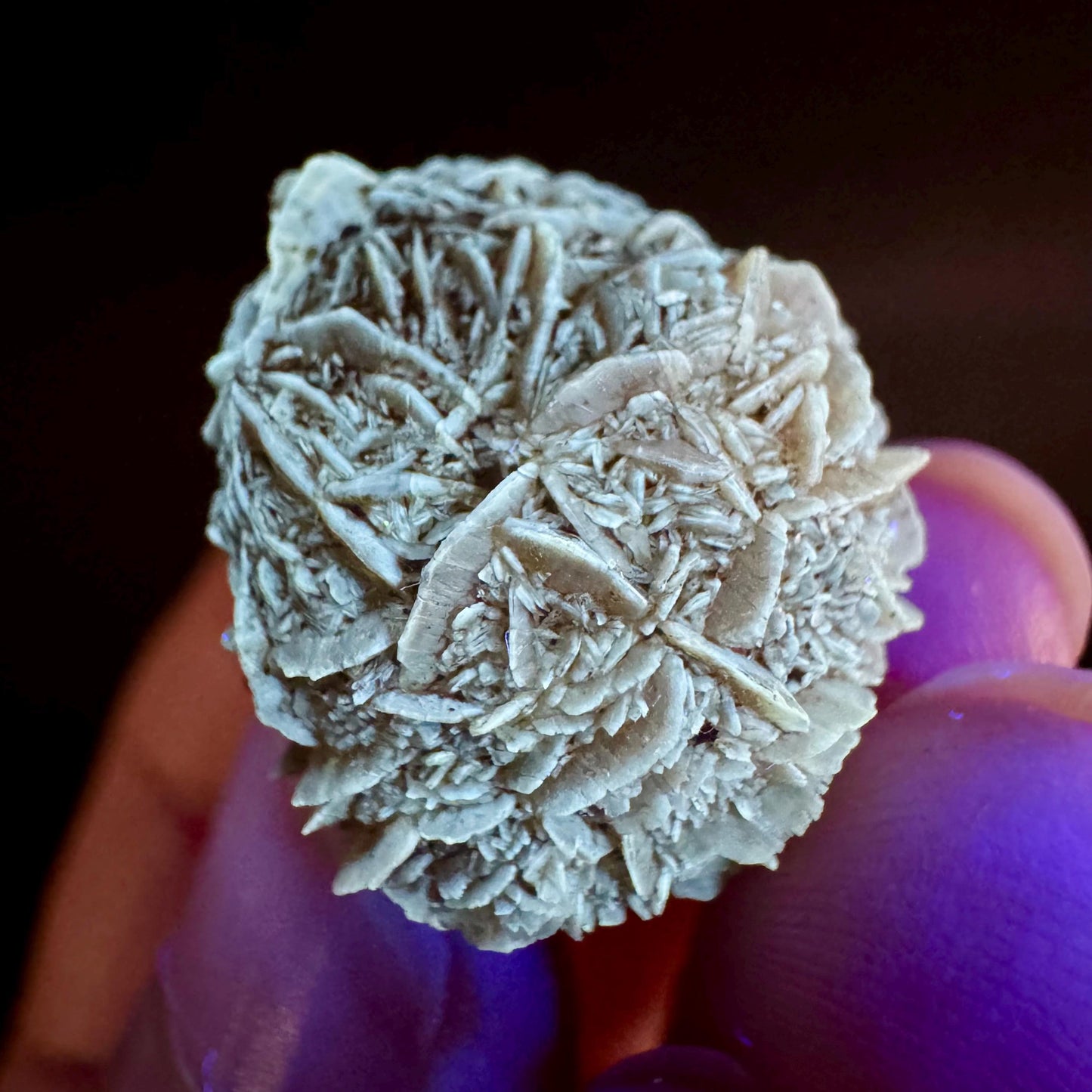 Golden Selenite Rosette | Fluorescent UV Reactive Gypsum Crystal
